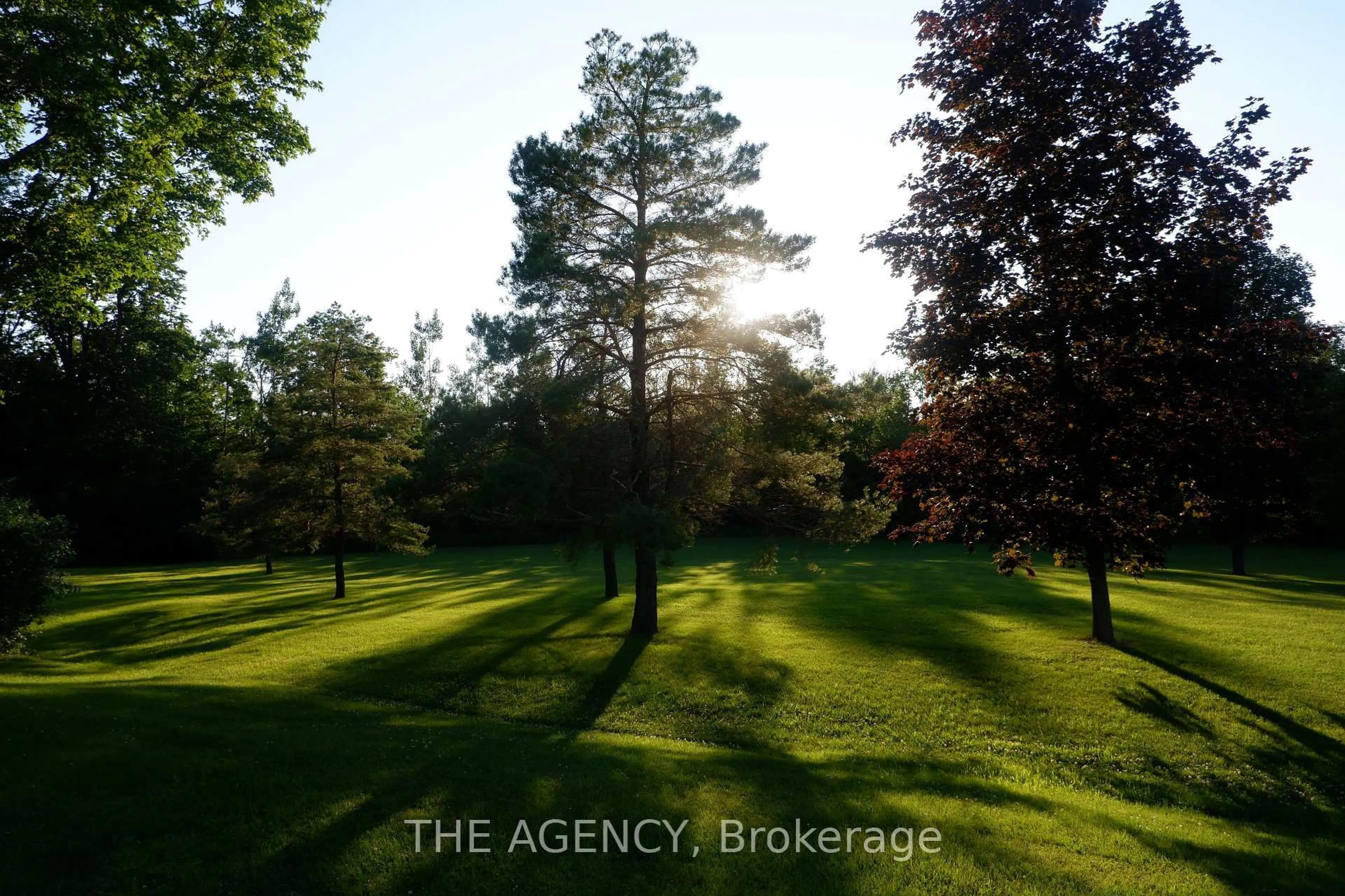 A pic from outside/outdoor area/front of a property/back of a property/a pic from drone, forest/trees view for 268 YANKEE Line, Kawartha Lakes Ontario K0L 2W0
