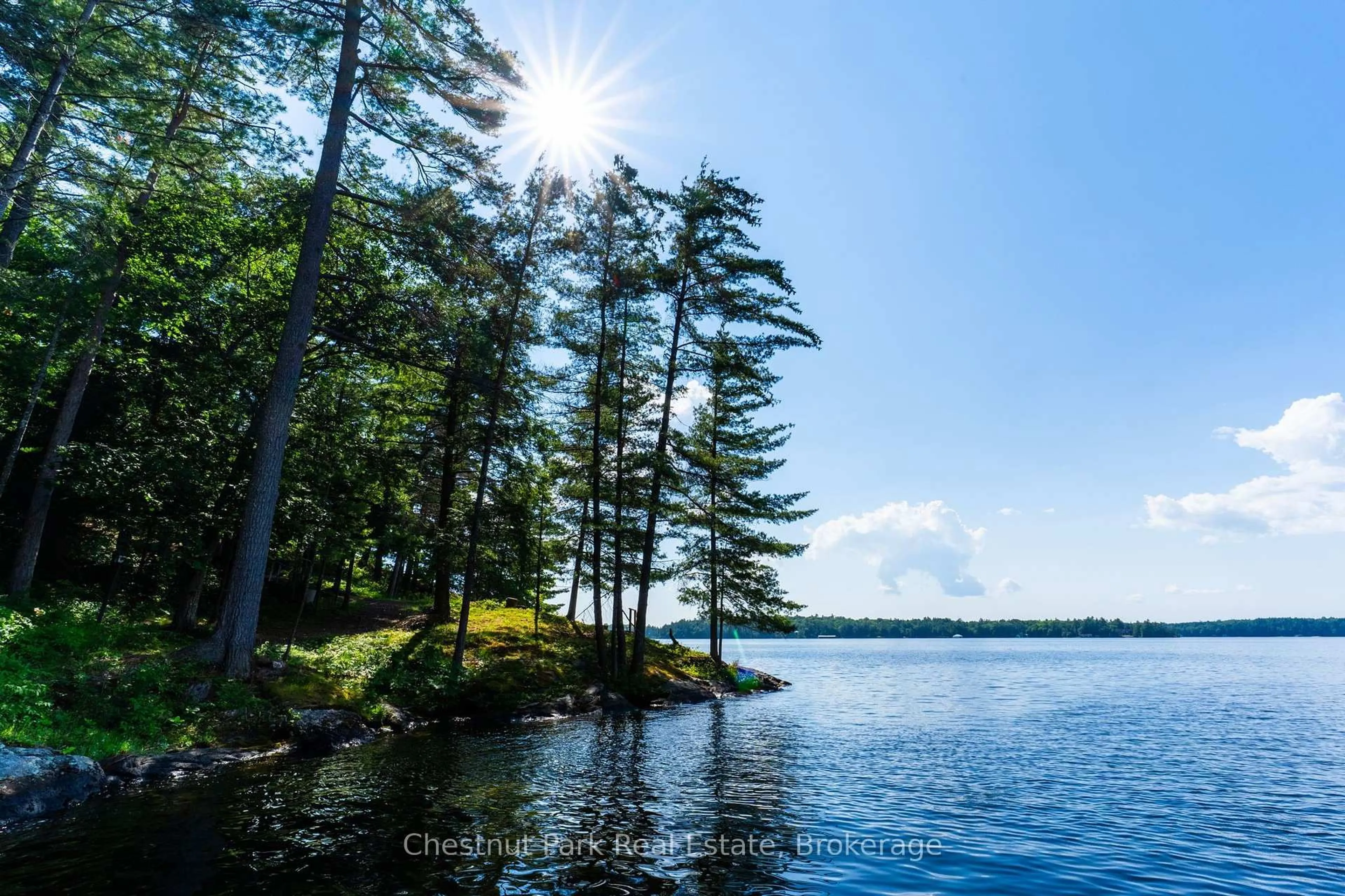 Patio, water/lake/river/ocean view for 1218 Purdy Rd, Muskoka Lakes Ontario P0B 1P0