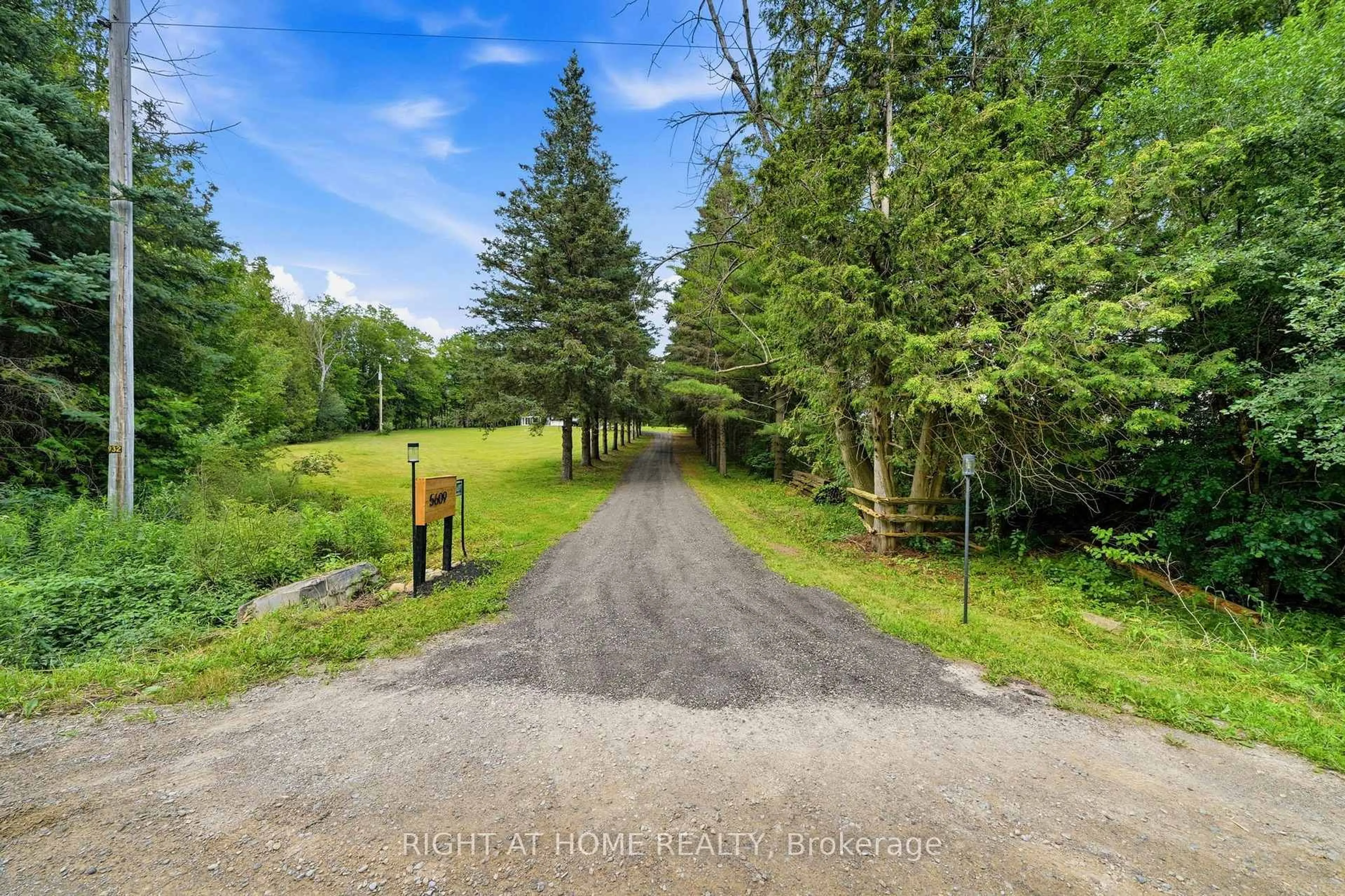 A pic from outside/outdoor area/front of a property/back of a property/a pic from drone, forest/trees view for 5609 4th Line, Erin Ontario N0B 1Z0