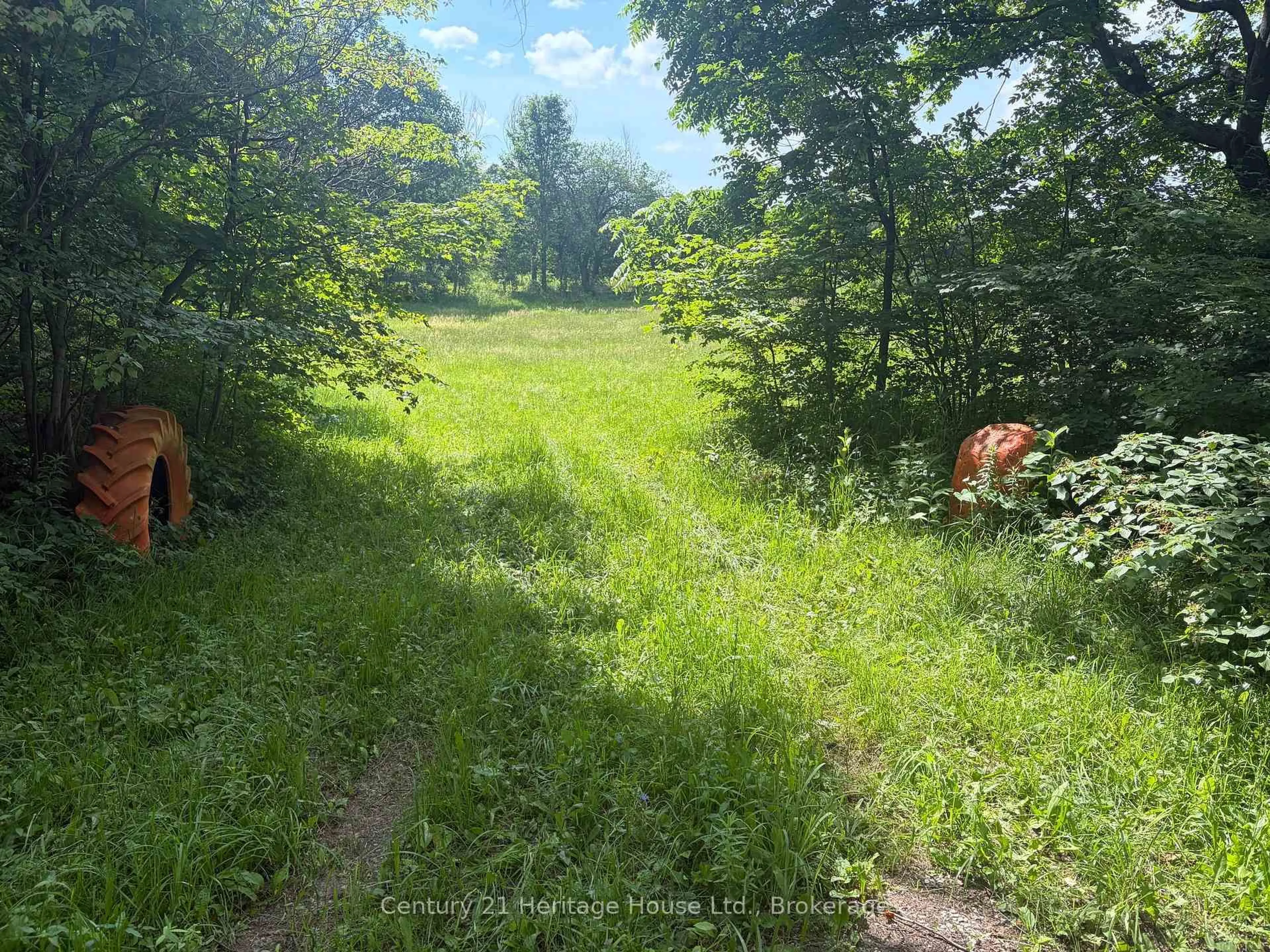 A pic from outside/outdoor area/front of a property/back of a property/a pic from drone, forest/trees view for 473088 Southgate Road 47, Southgate Ontario N0G 1R0