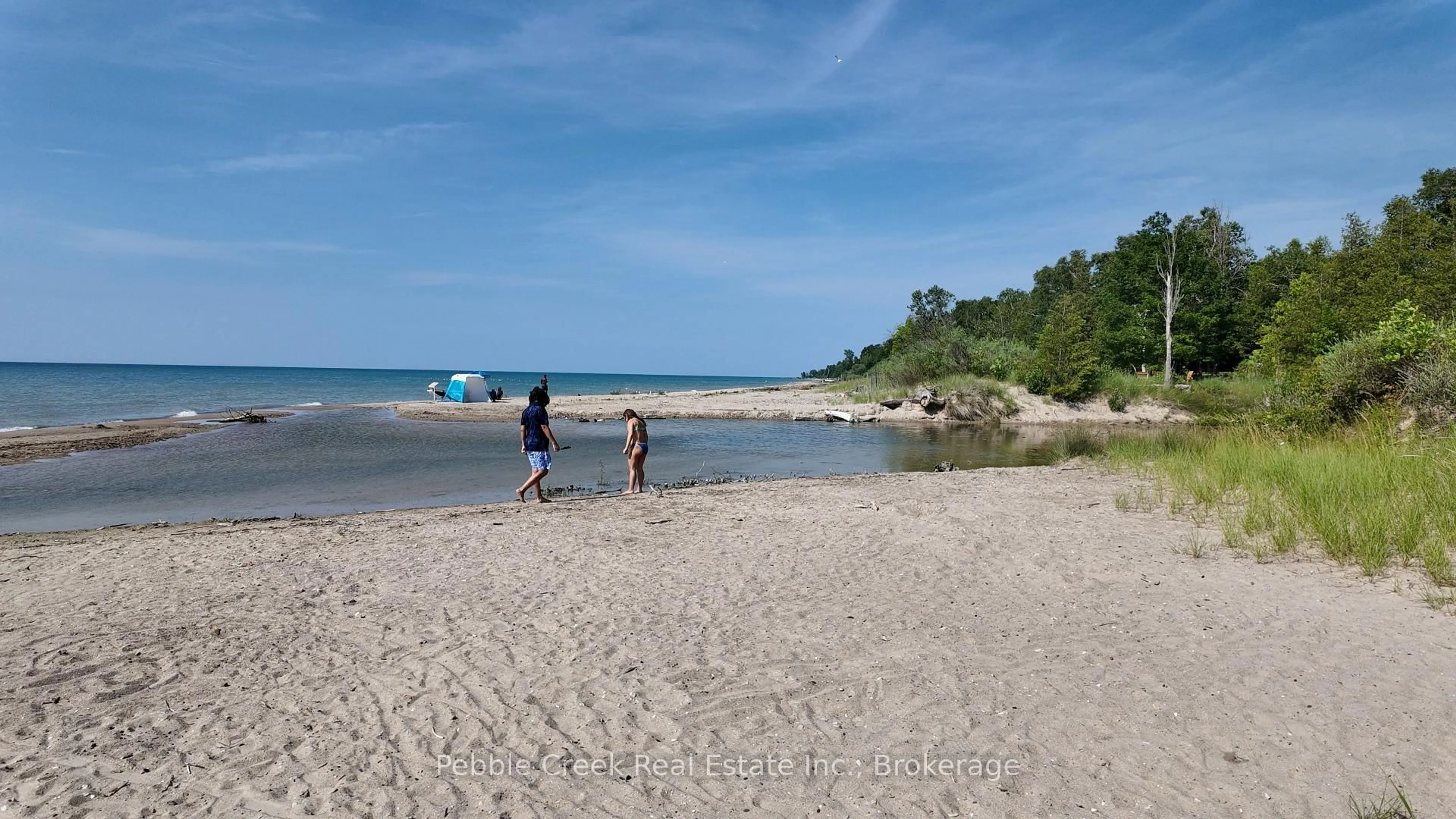 trreb/IMG-X13564390_2d706b5b-745c-4bc8-8918-349ea98200d2-l.jpg