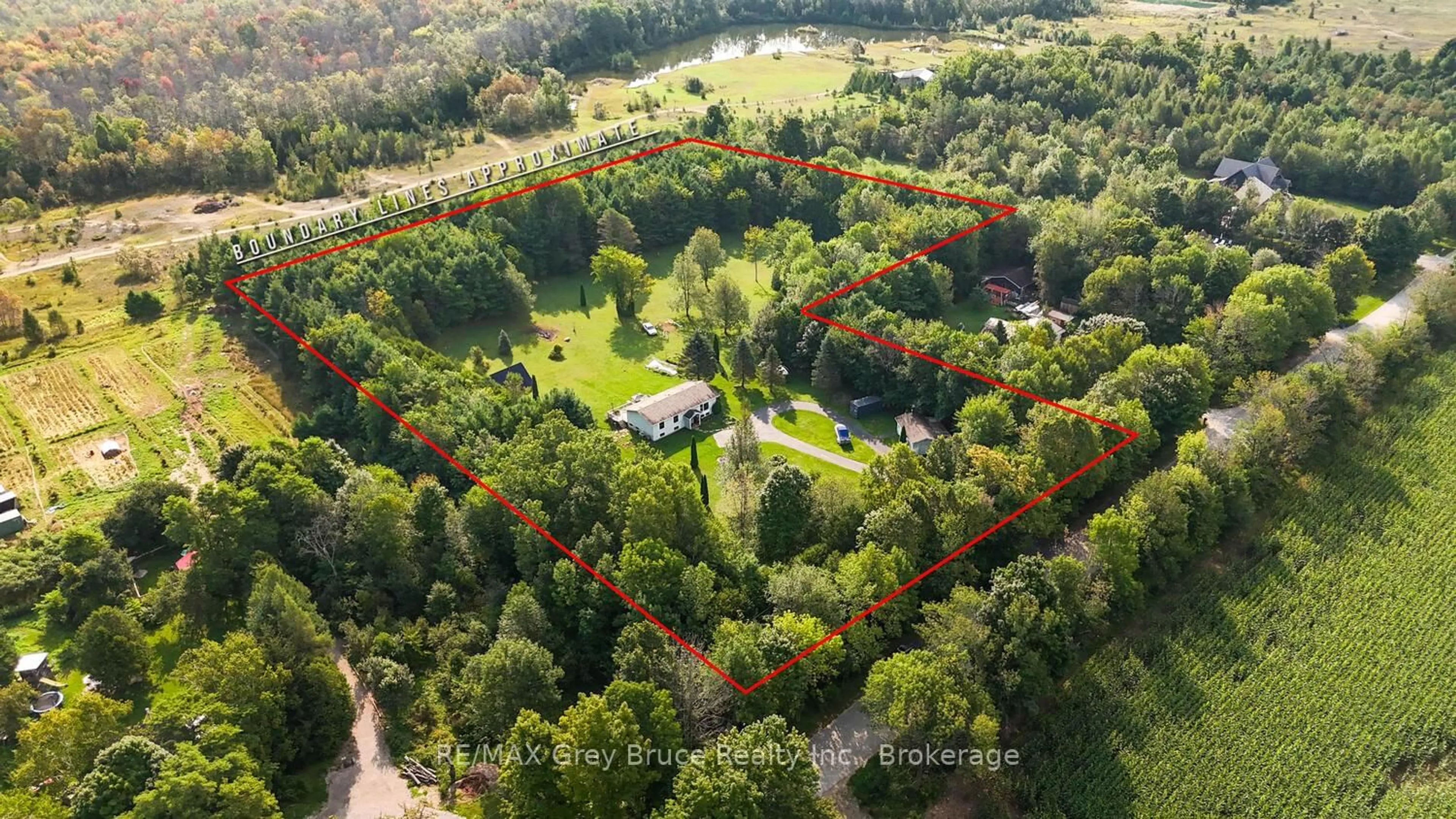 A pic from outside/outdoor area/front of a property/back of a property/a pic from drone, forest/trees view for 70183 Zion Church Rd, Georgian Bluffs Ontario N0H 2T0