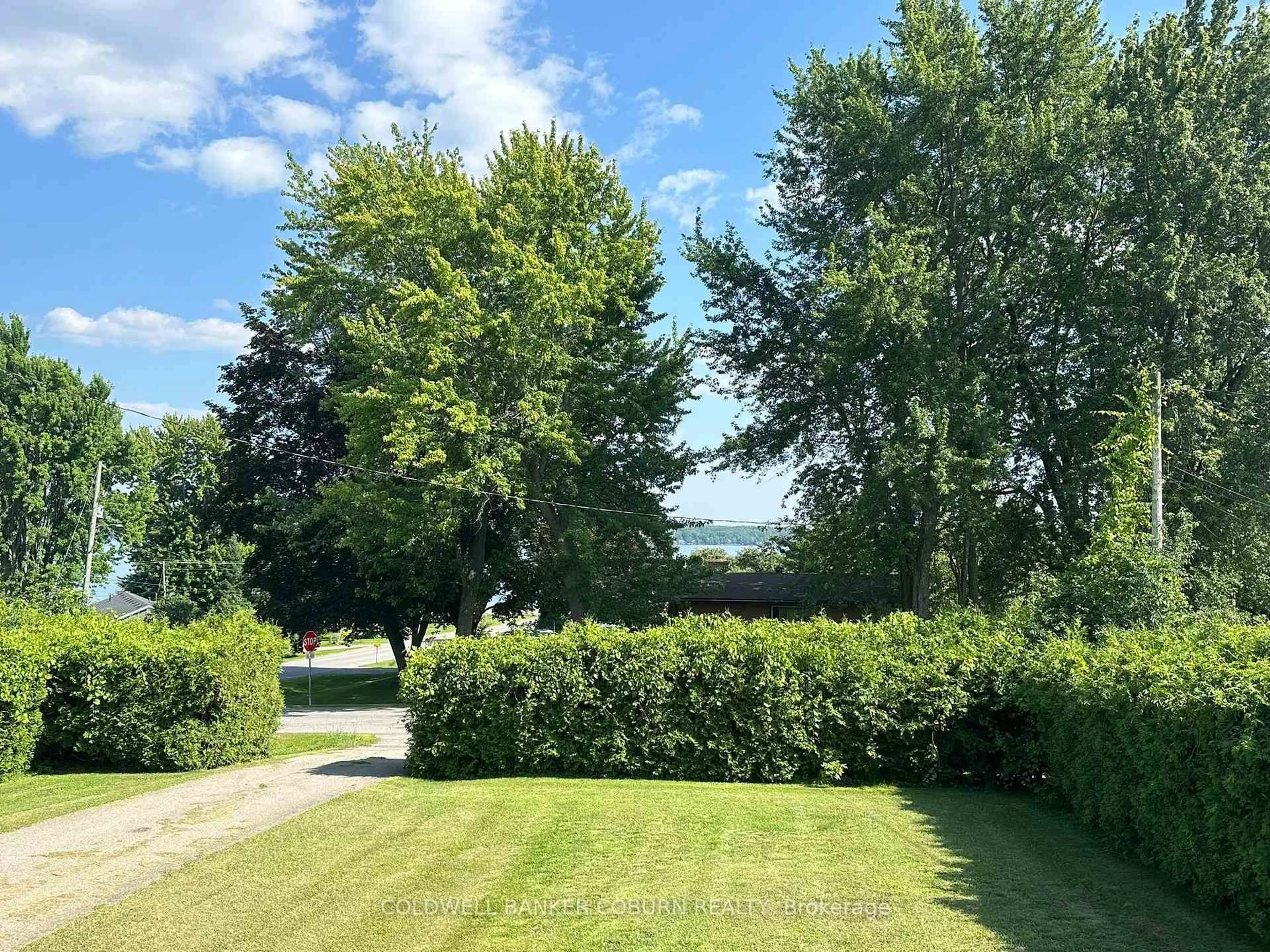 A pic from outside/outdoor area/front of a property/back of a property/a pic from drone, forest/trees view for 2 McLean Blvd, Augusta Ontario K0E 1P0