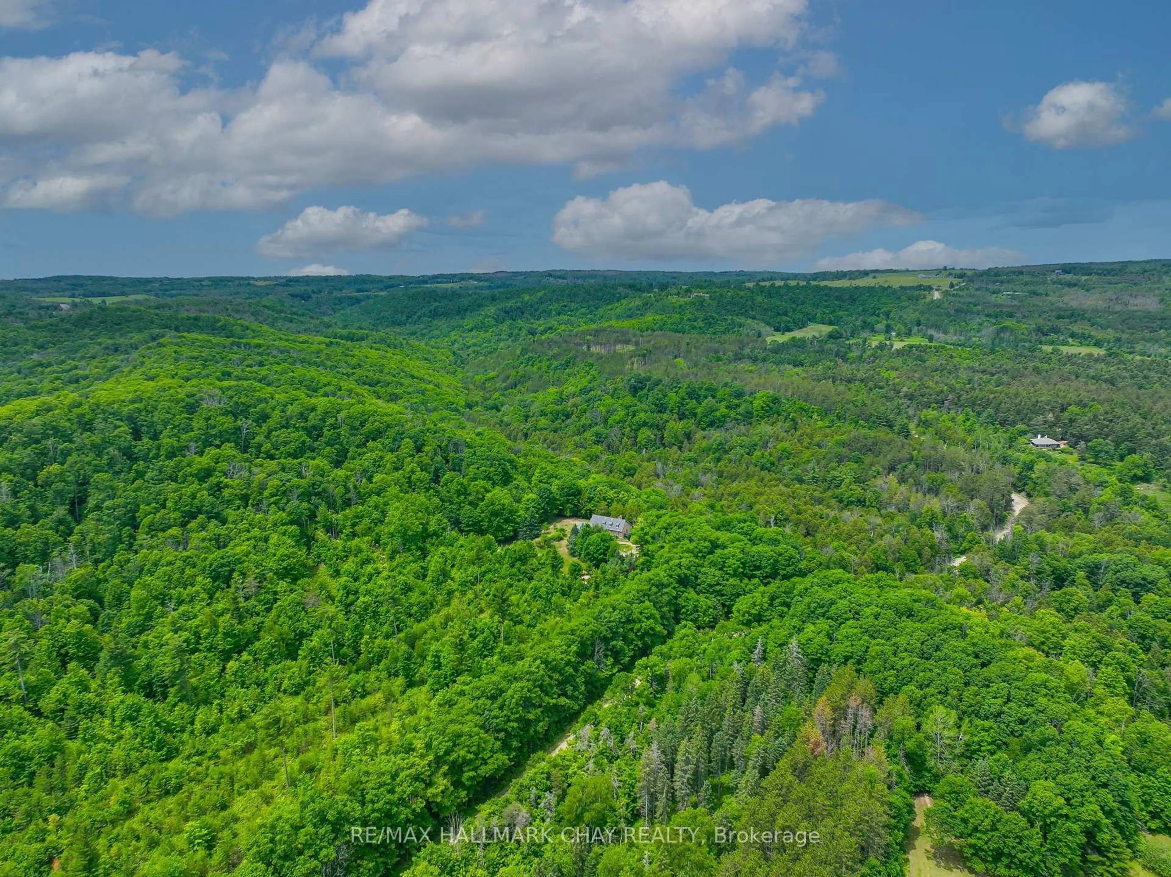 A pic from outside/outdoor area/front of a property/back of a property/a pic from drone, forest/trees view for 718078 1st Line East Line, Mulmur Ontario L9V 0G3