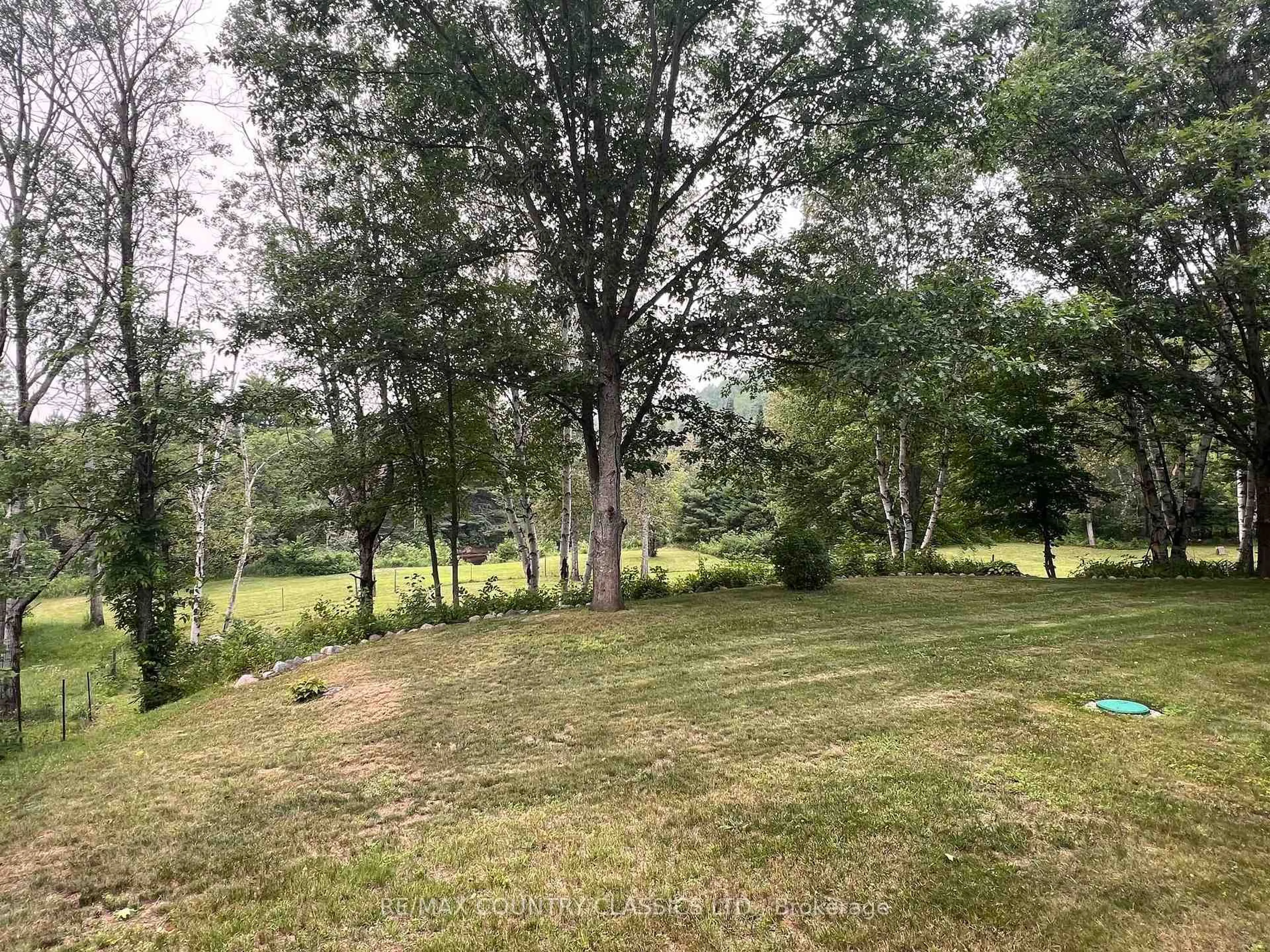 A pic from outside/outdoor area/front of a property/back of a property/a pic from drone, forest/trees view for 24 Firehall Lane, Bancroft Ontario K0L 1C0