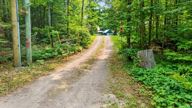 1205 Yandreski Rd, Barry's Bay 3