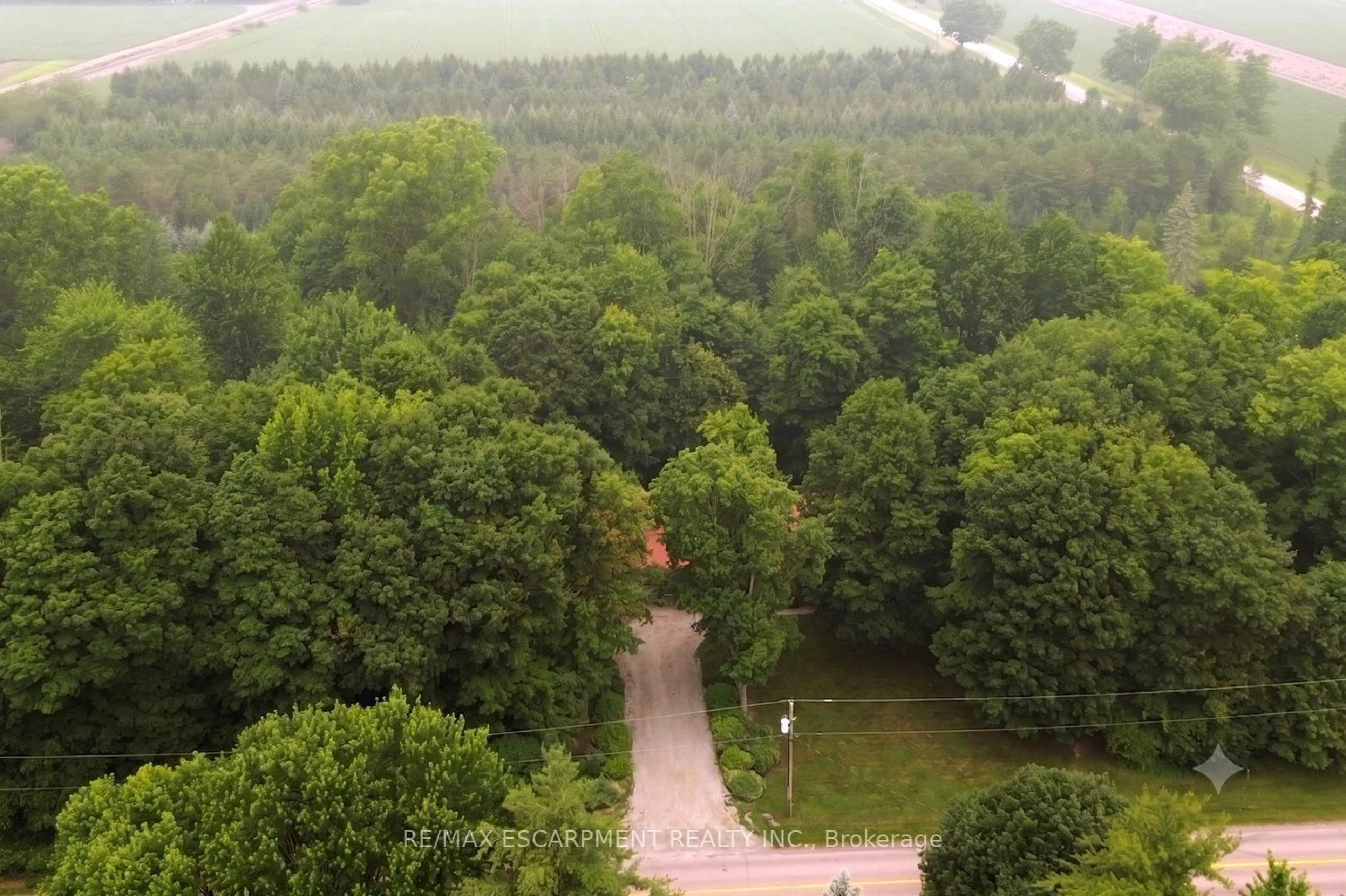 A pic from outside/outdoor area/front of a property/back of a property/a pic from drone, forest/trees view for 421 8th Concession Rd, Hamilton Ontario L0P 1B0