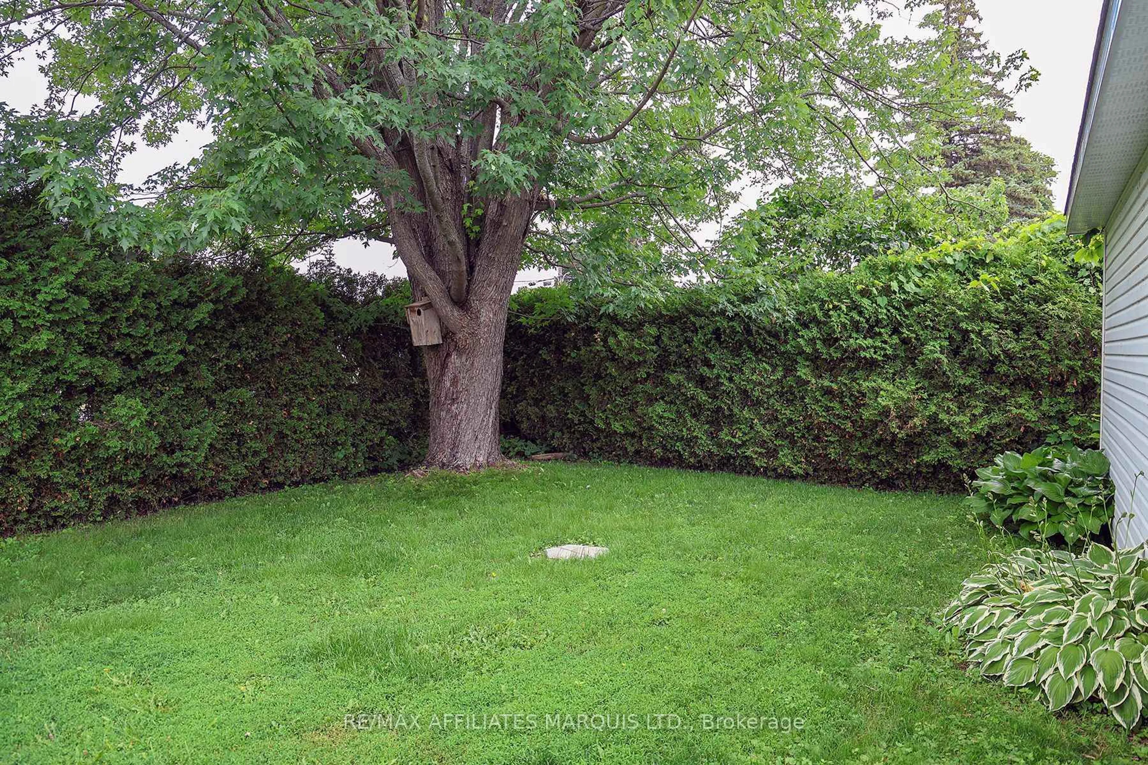 A pic from outside/outdoor area/front of a property/back of a property/a pic from drone, forest/trees view for 33 Ontario St, South Dundas Ontario K0C 1X0