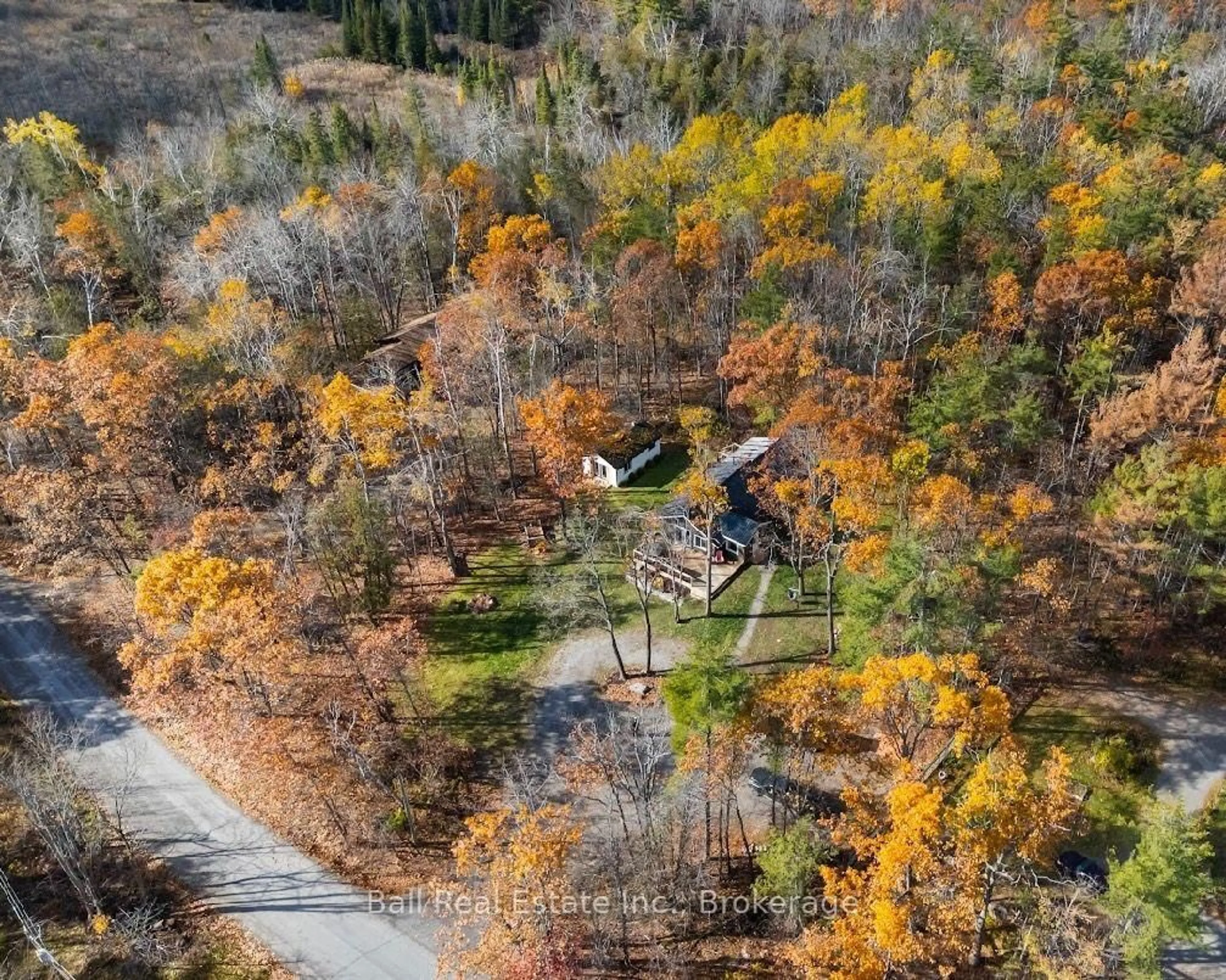 A pic from outside/outdoor area/front of a property/back of a property/a pic from drone, forest/trees view for 686 Coon Lake Rd, North Kawartha Ontario K0L 2H0