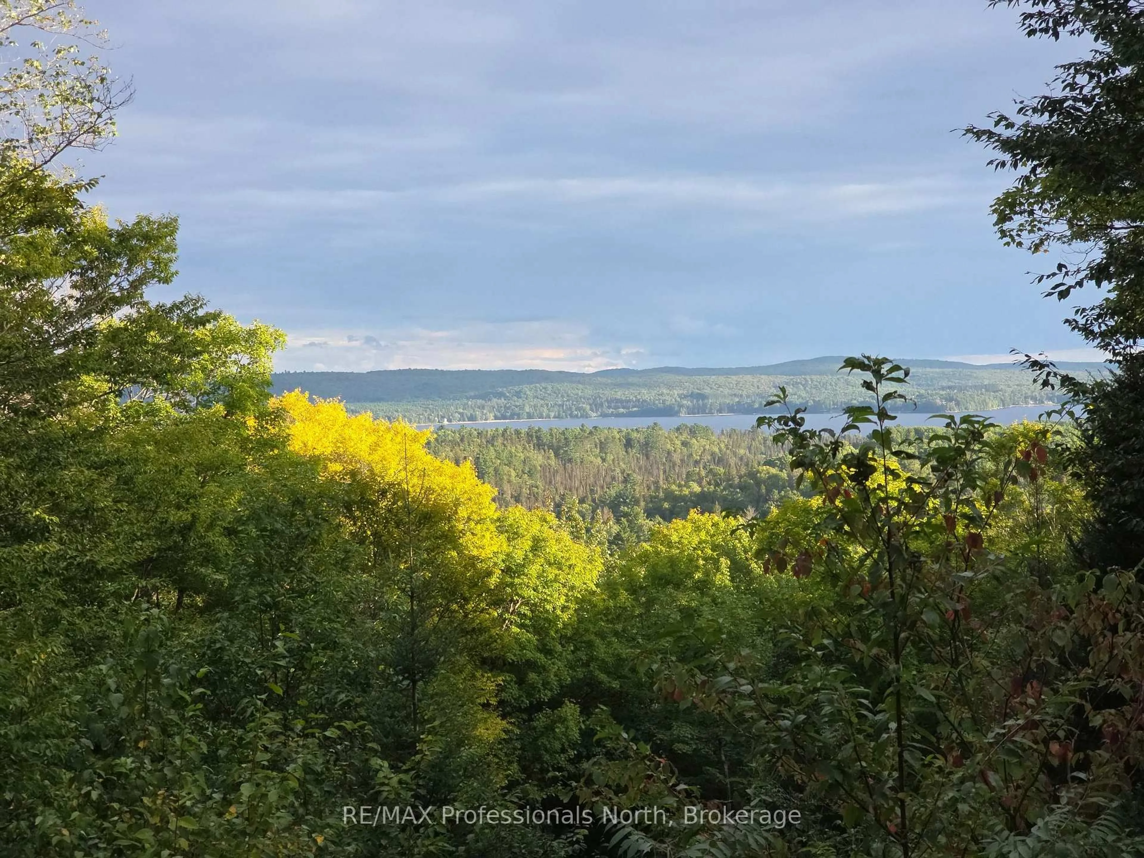 Blurry image for 364 FORESTRY TOWER Rd, Kearney Ontario P0A 1M0
