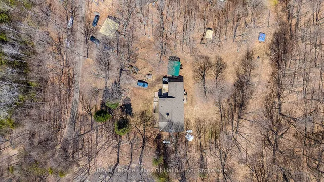 1096 Chelsea Lane, Algonquin Highlands 5