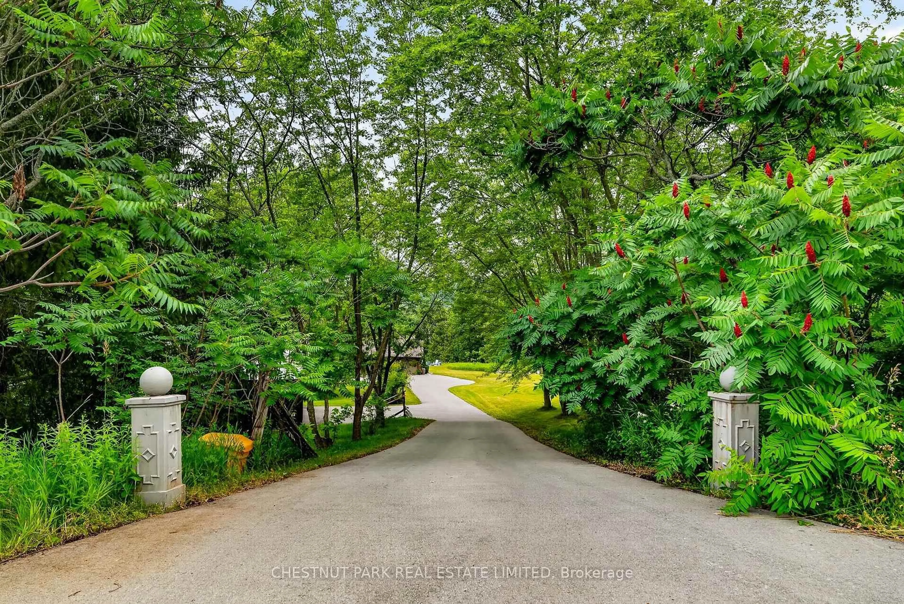 Patio, street for 268 County Rd 26 Rd, Brighton Ontario K0K 1H0