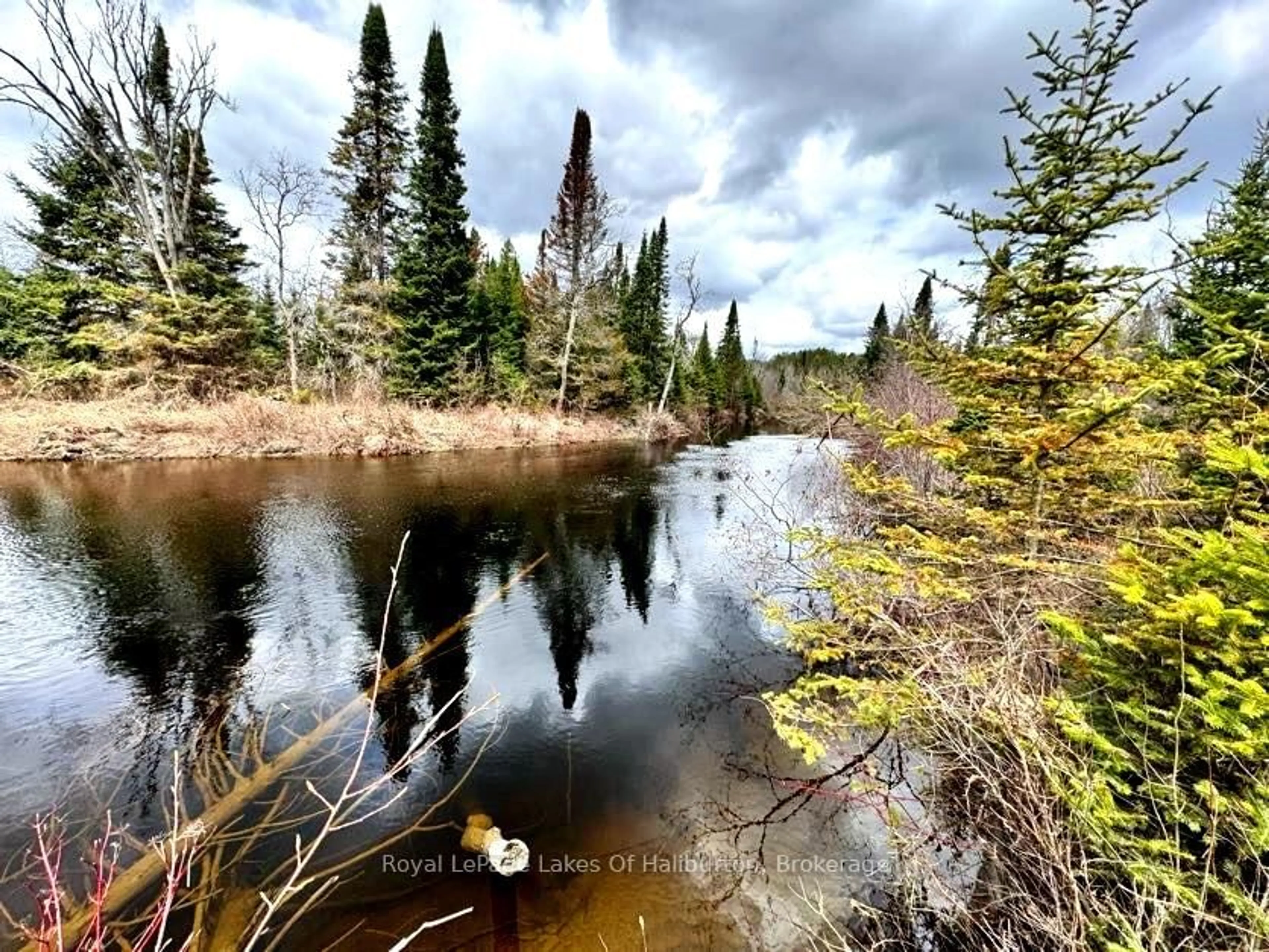 Blurry image for 1033 Bayberry Lane, Highlands East Ontario K0M 1R0