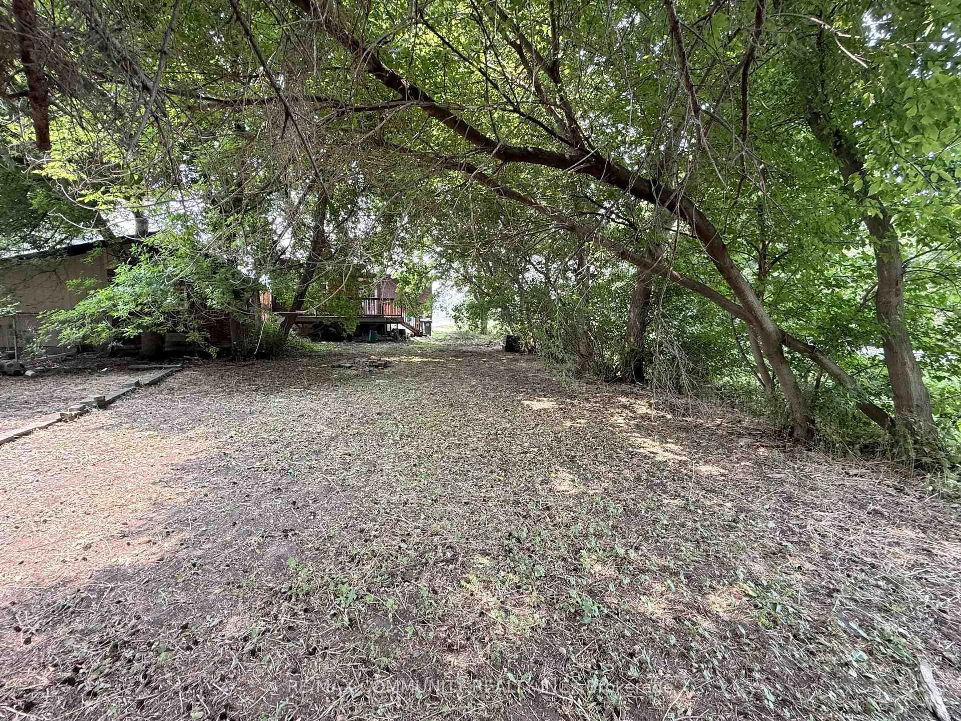 A pic from outside/outdoor area/front of a property/back of a property/a pic from drone, forest/trees view for 70 Huron St, Guelph Ontario N1G 5L6