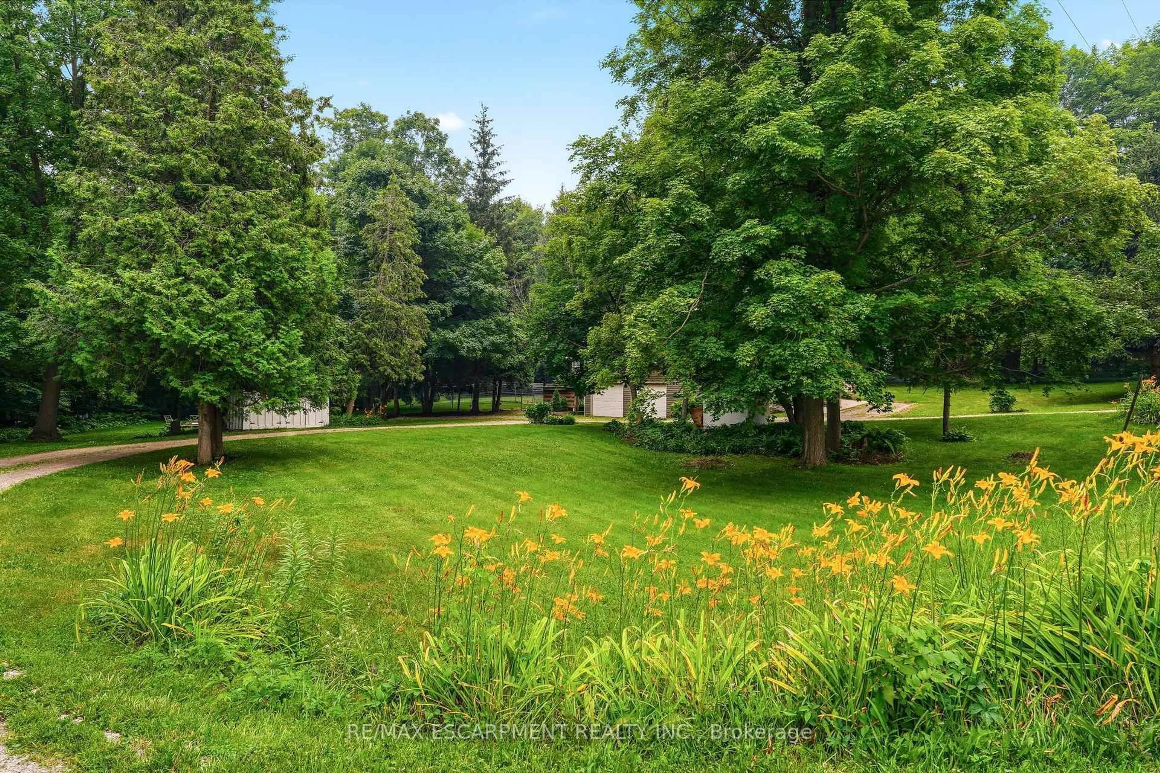 A pic from outside/outdoor area/front of a property/back of a property/a pic from drone, forest/trees view for 318 10th Concession Road E, Hamilton Ontario L8B 1H6