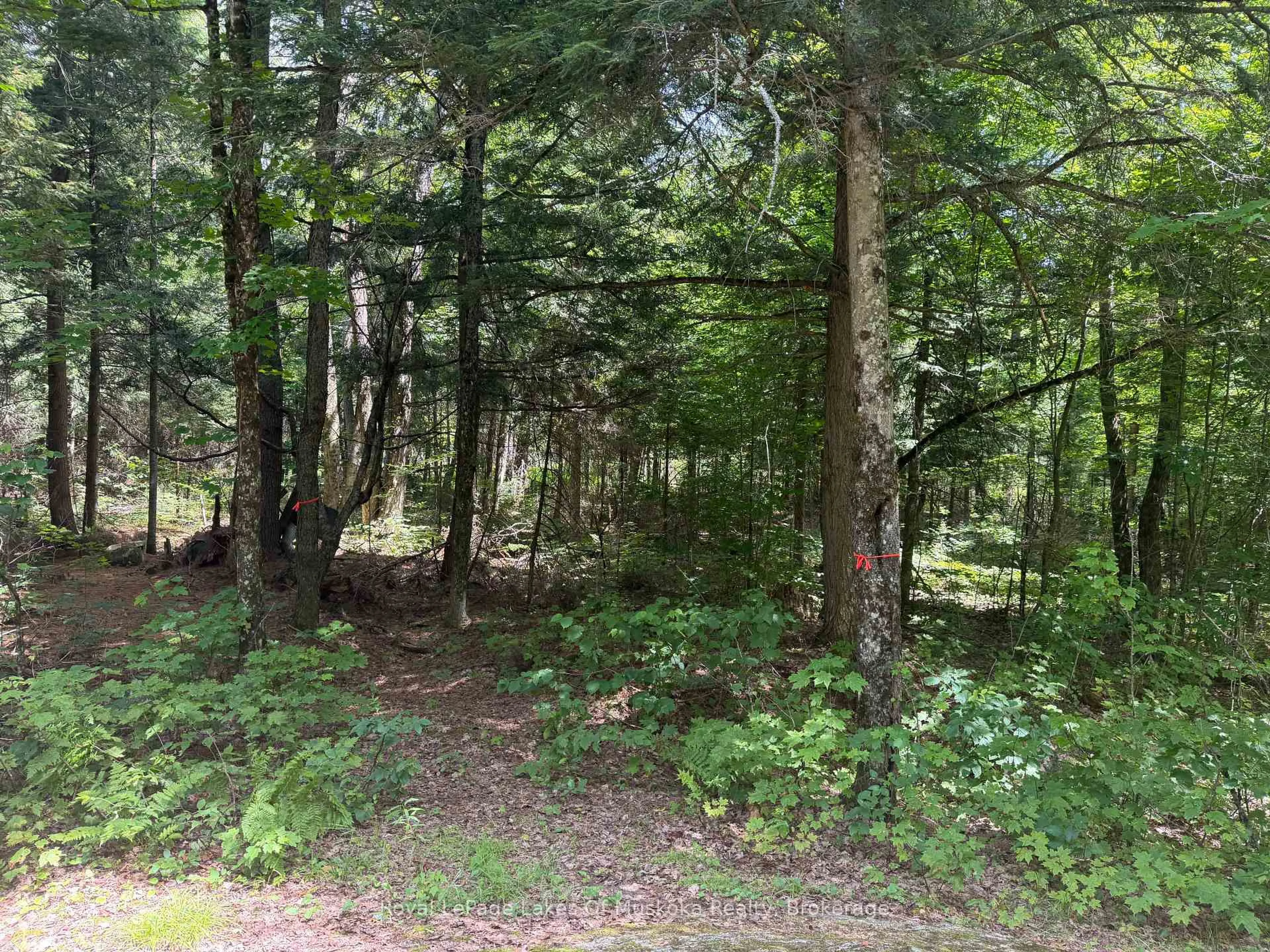Unknown for 0 Axe Lake Rd, McMurrich/Monteith Ontario P0A 1X0