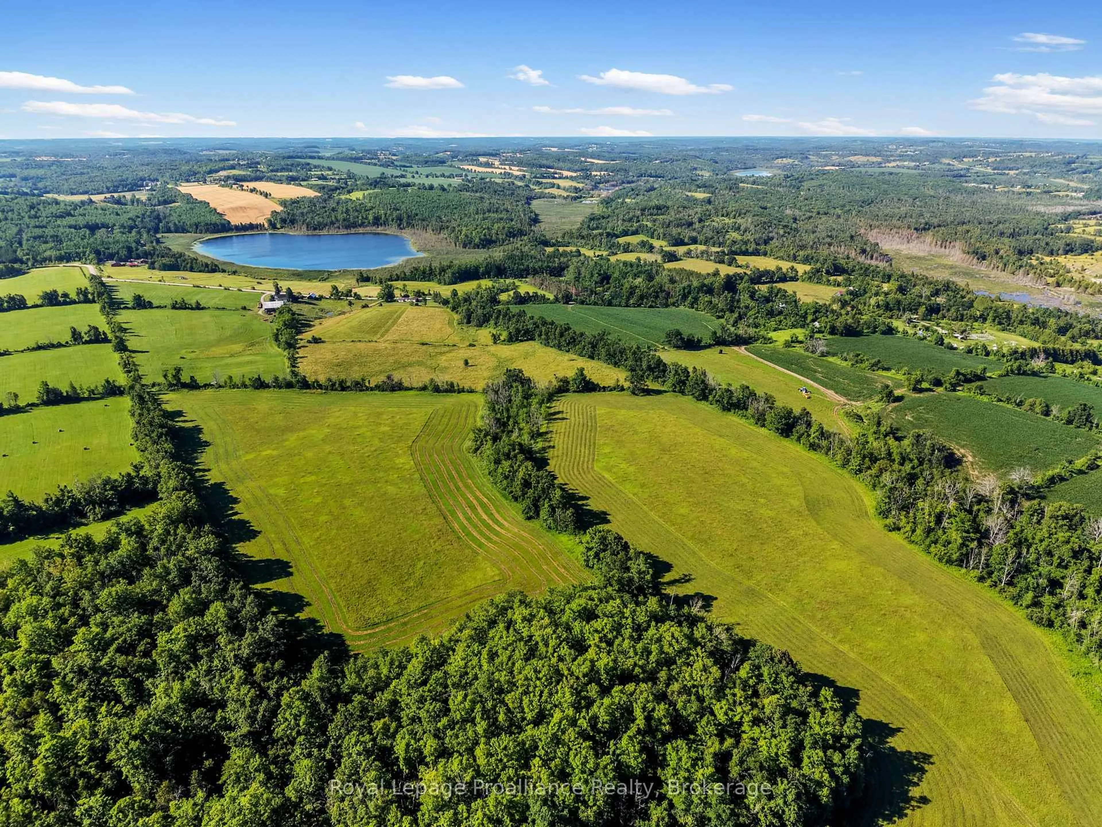 A pic from outside/outdoor area/front of a property/back of a property/a pic from drone, forest/trees view for 50 Dunlay Rd, Trent Hills Ontario K0L 1Y0