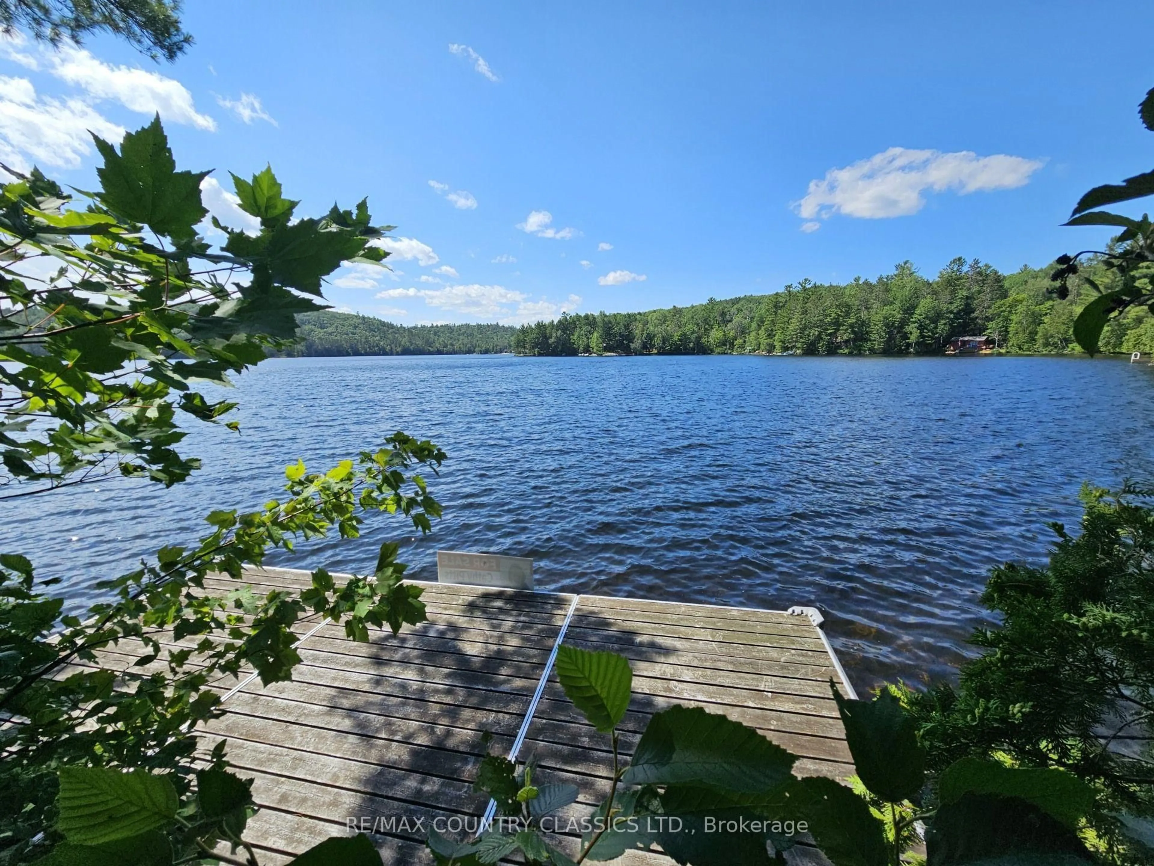 A pic from outside/outdoor area/front of a property/back of a property/a pic from drone, water/lake/river/ocean view for 474A Spectacle Lake Rd, Barry's Bay Ontario K0J 1B0