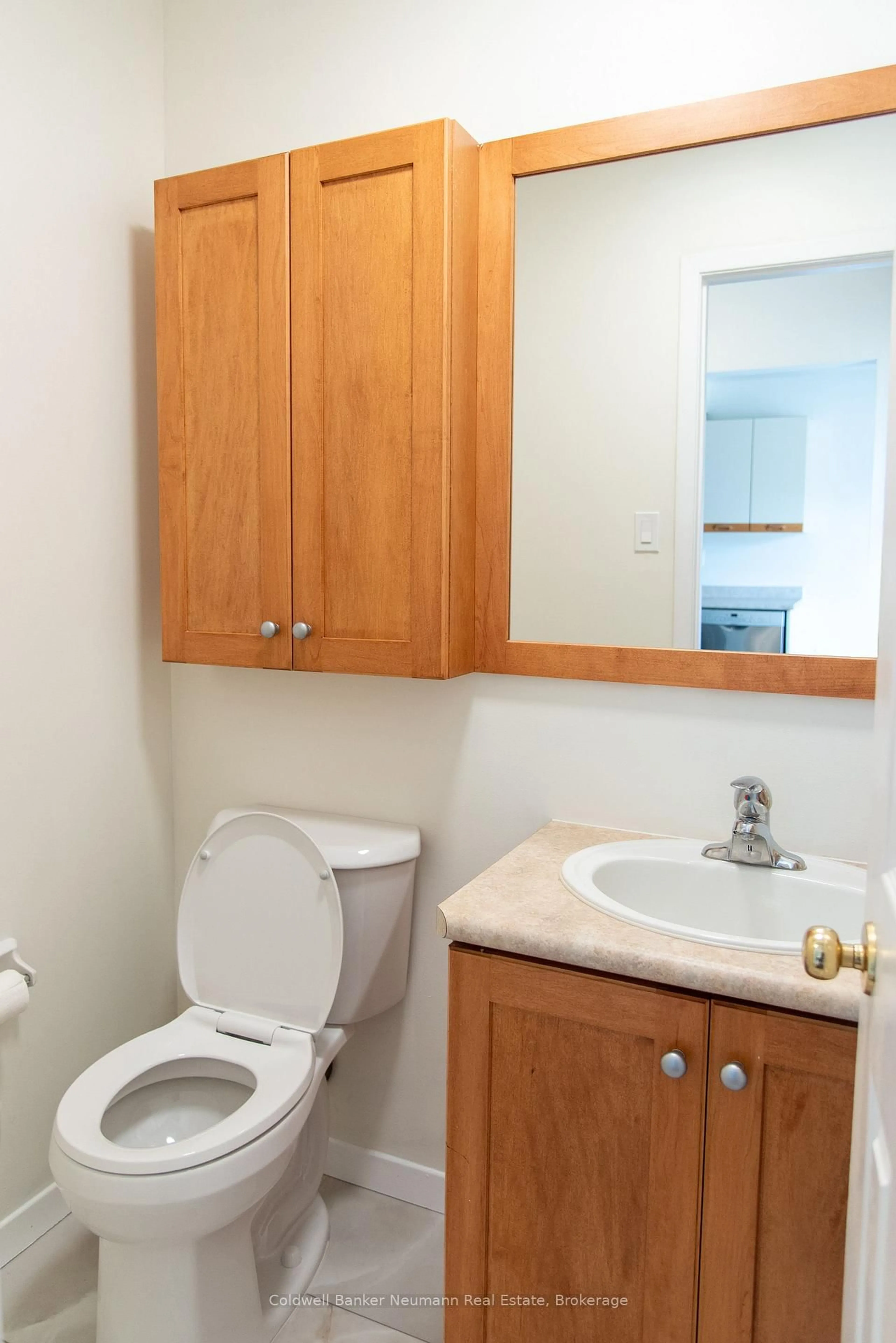 Standard bathroom, floor is not visible for 121 Bagot St #29, Guelph Ontario N1H 5T8