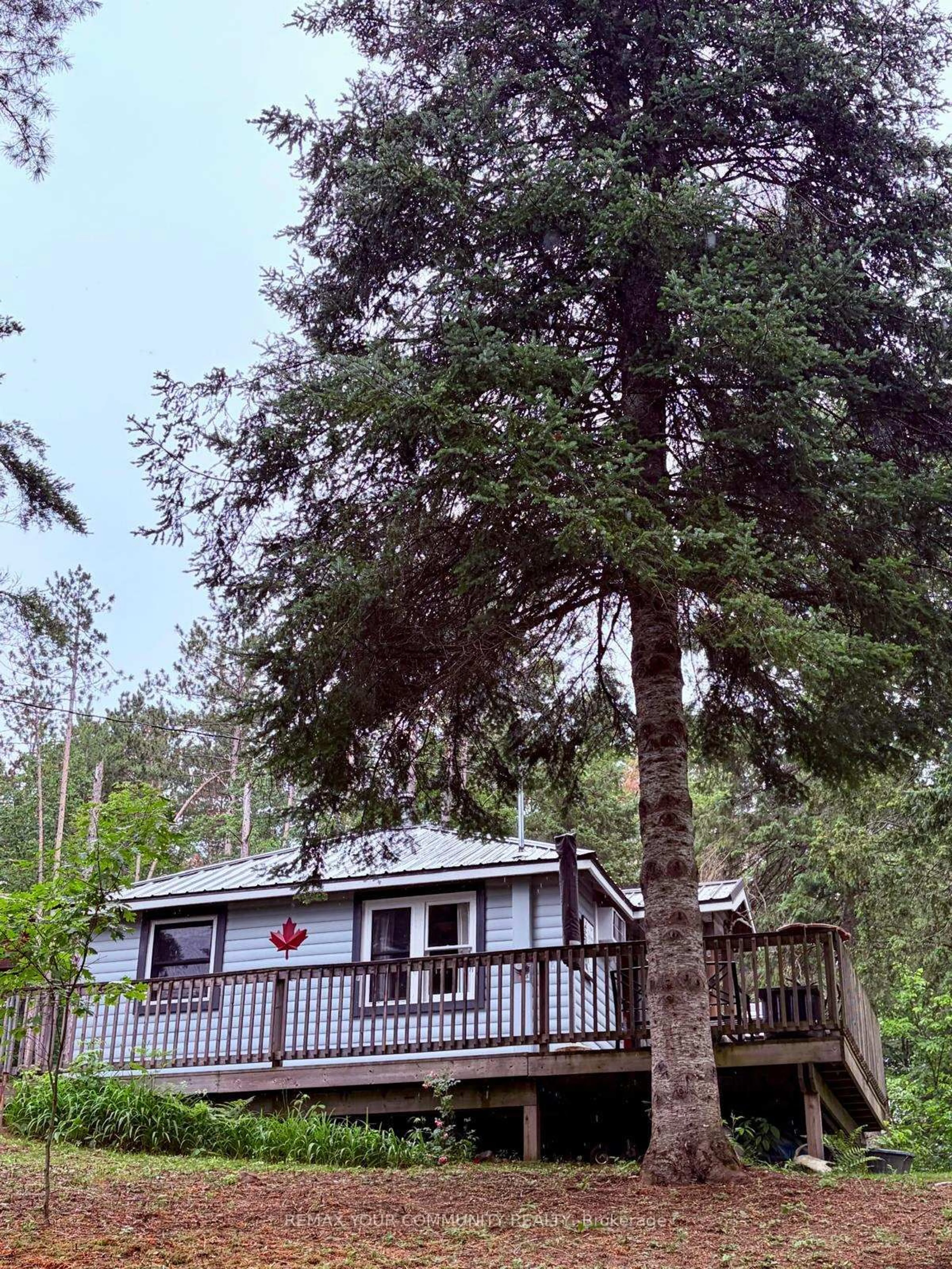 A pic from outside/outdoor area/front of a property/back of a property/a pic from drone, forest/trees view for 42 Fire Route 342, Trent Lakes Ontario K0M 1R0