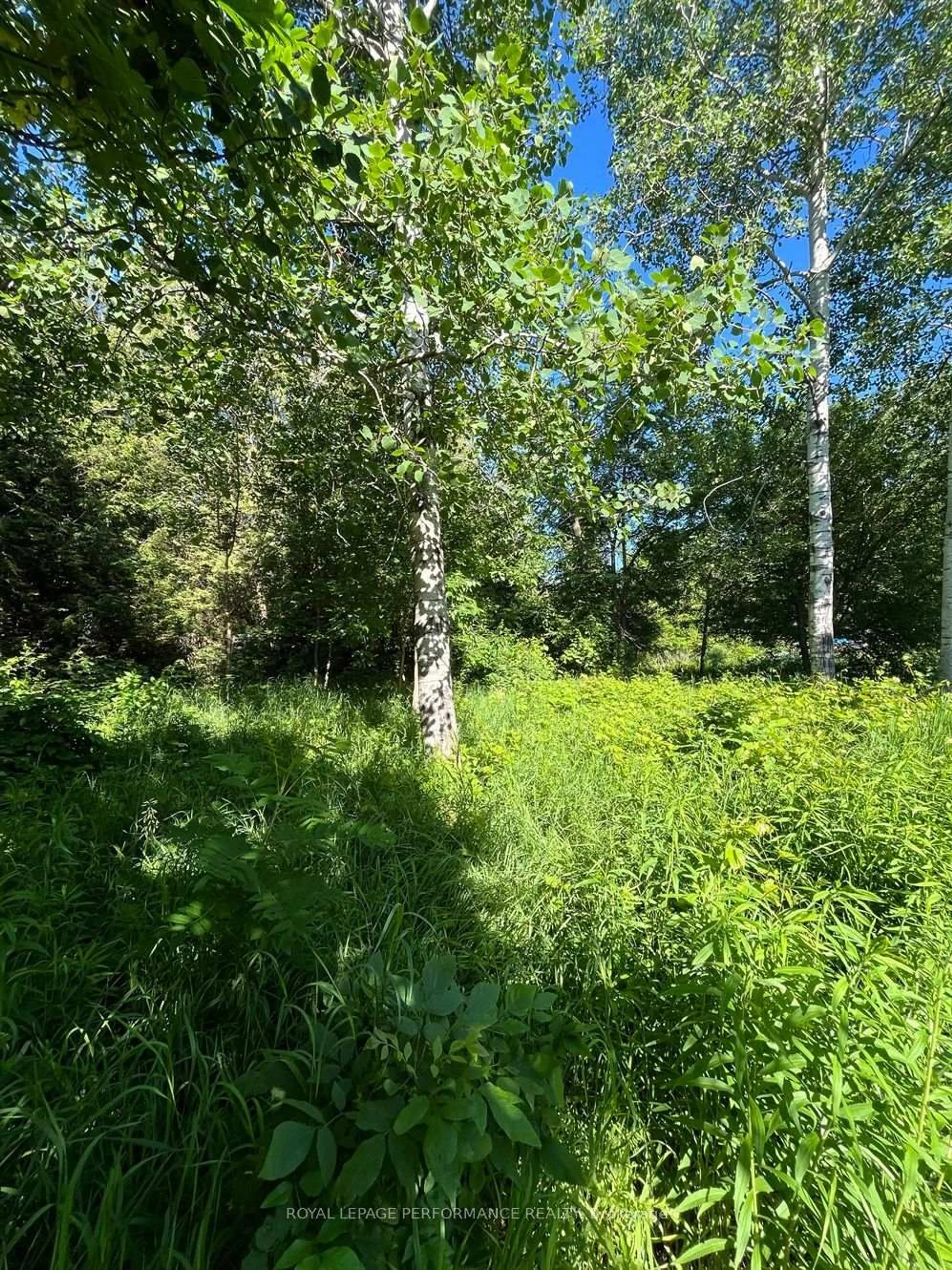 Unknown for 37 and 35A Cloverloft Crt, Stittsville Ontario K2S 1T3