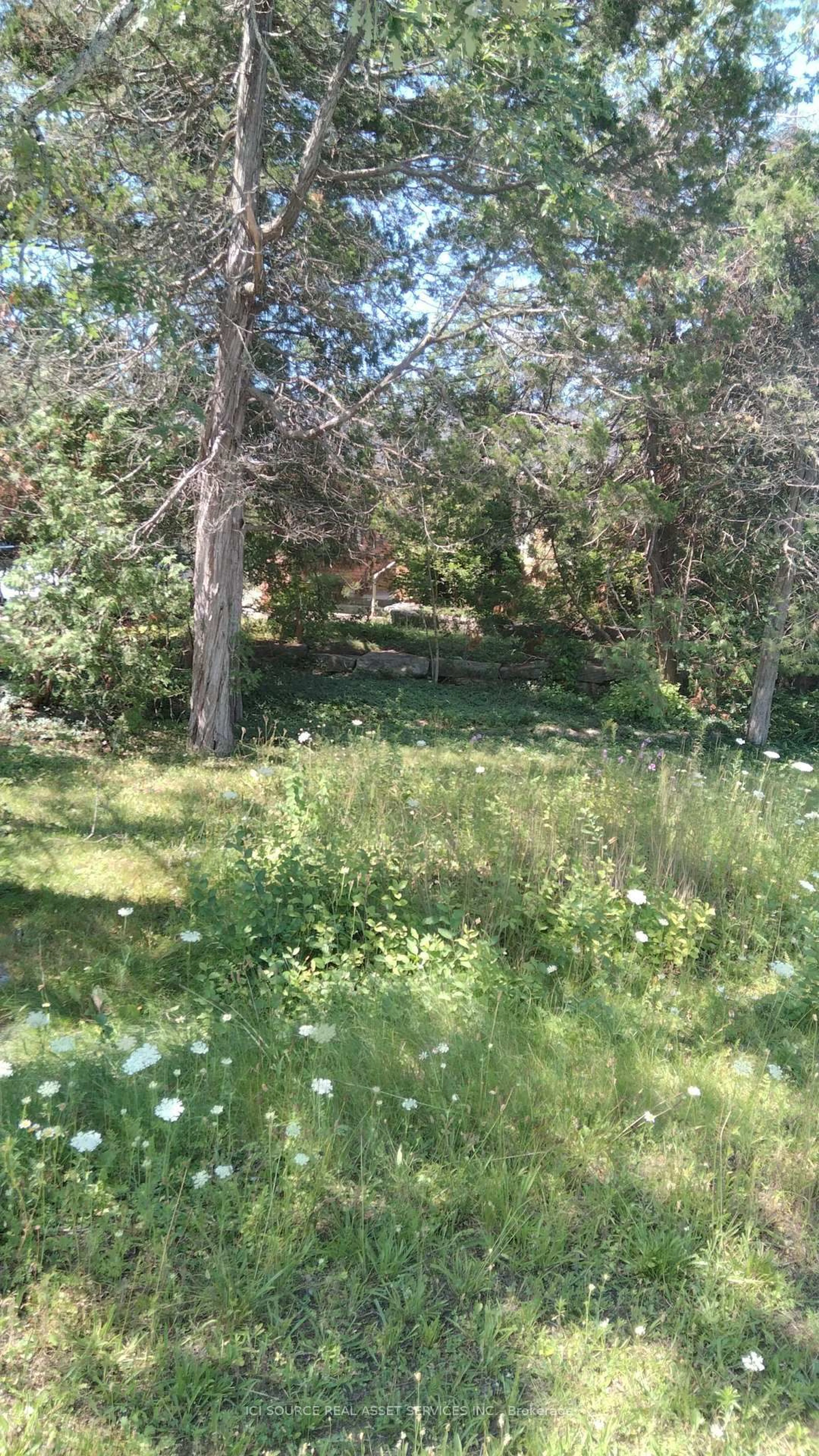 Blurry image for 87 Navigators Tr, Kawartha Lakes Ontario K0M 1A0