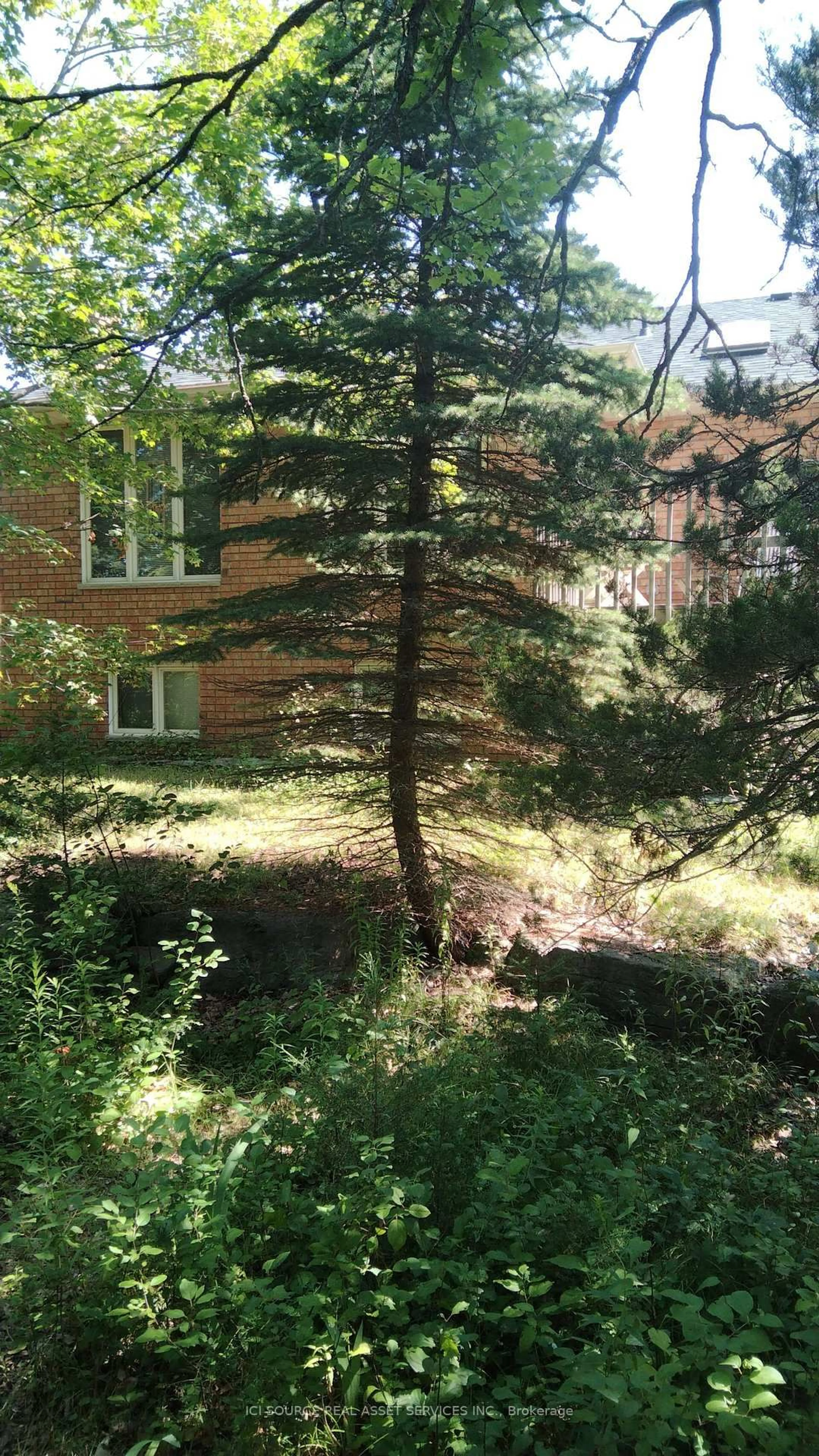 A pic from outside/outdoor area/front of a property/back of a property/a pic from drone, forest/trees view for 87 Navigators Tr, Kawartha Lakes Ontario K0M 1A0