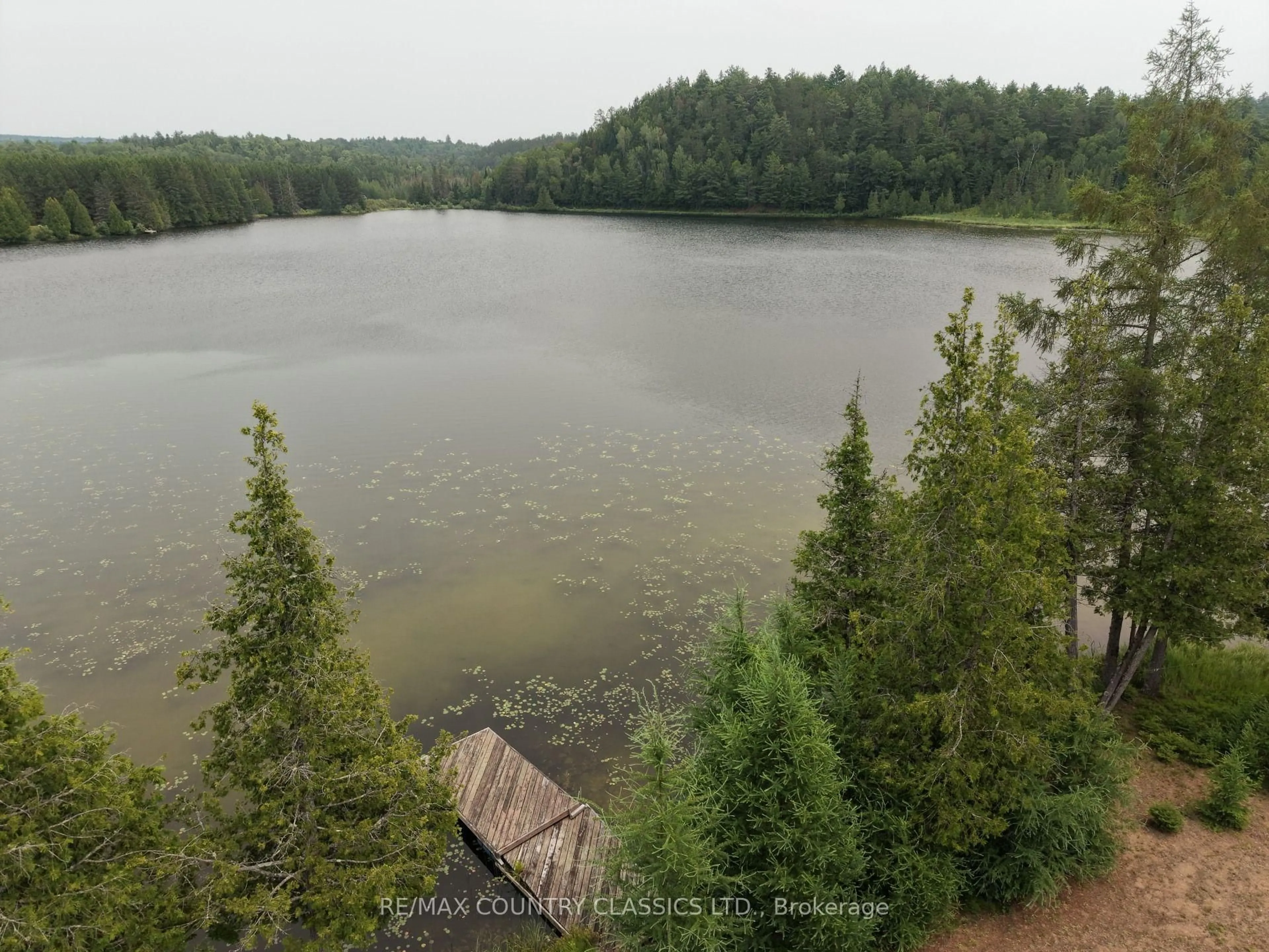 A pic from outside/outdoor area/front of a property/back of a property/a pic from drone, water/lake/river/ocean view for 66 Diatomike Lane, Quadeville Ontario K0J 2G0