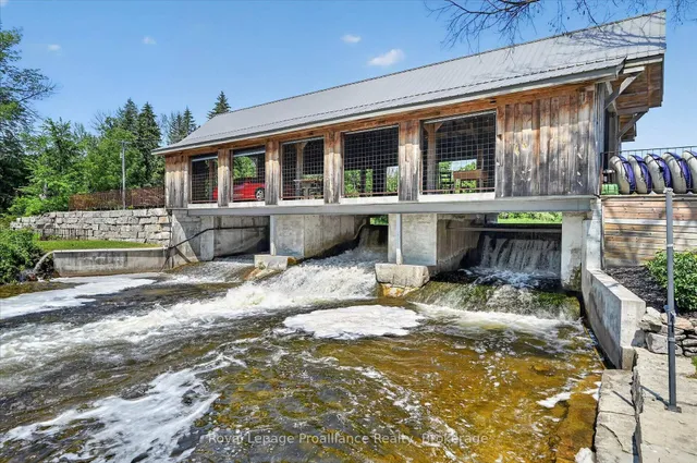 551 & 565 Cooney Island Rd, Douro-Dummer 2