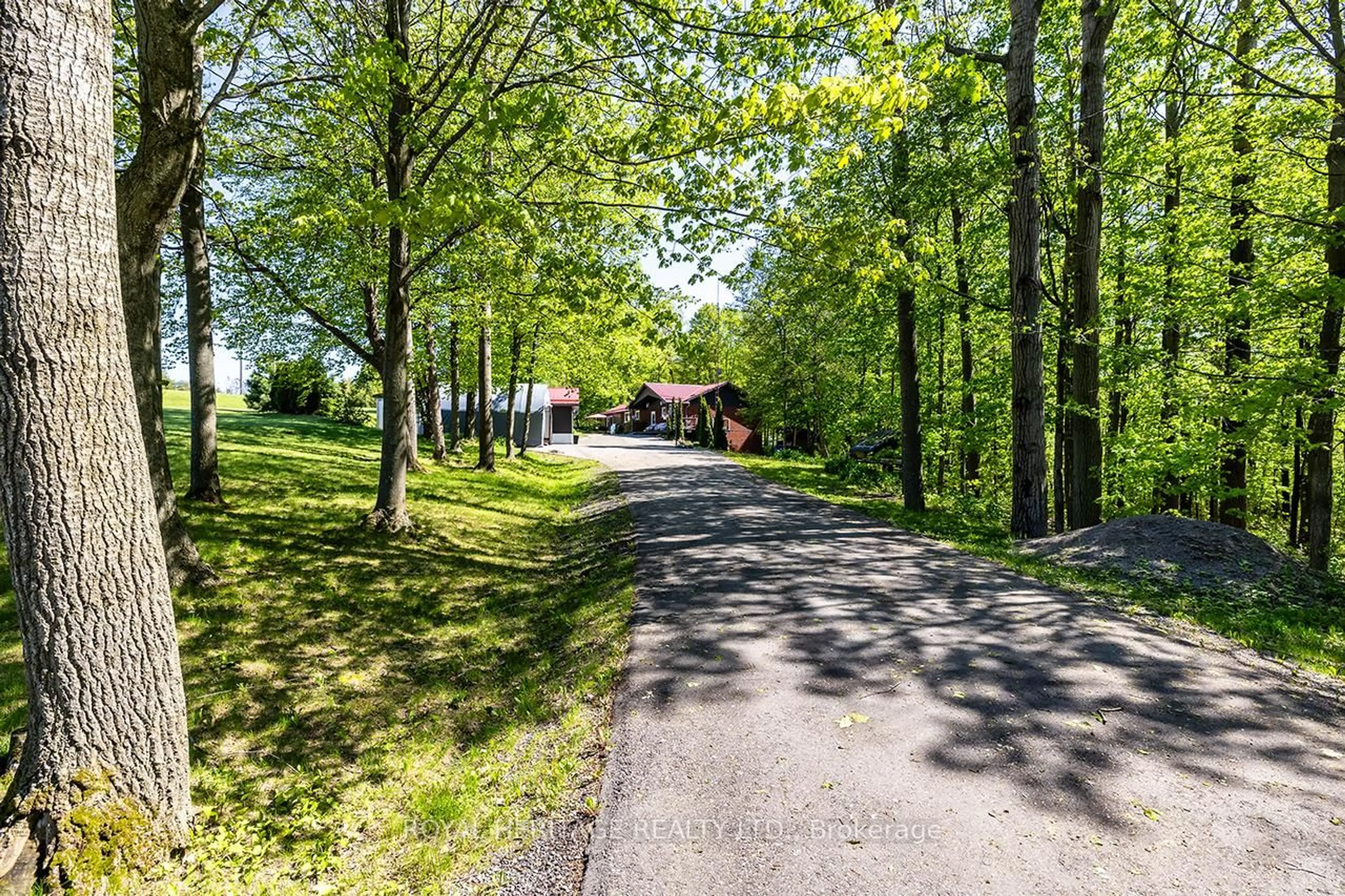 A pic from outside/outdoor area/front of a property/back of a property/a pic from drone, forest/trees view for 601 Clouston Rd, Alnwick/Haldimand Ontario K0K 1C0