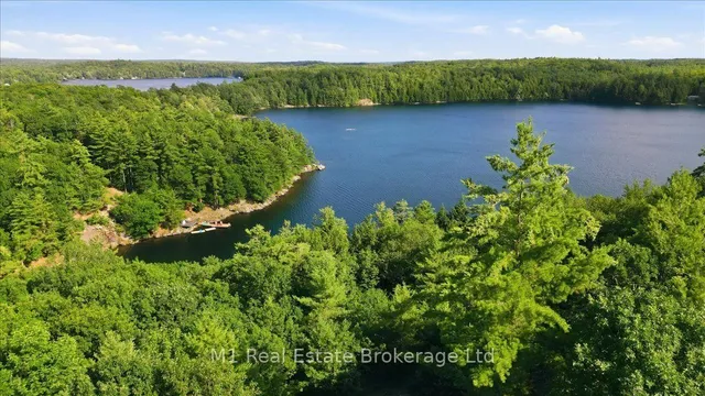 1106 Stephen Rd, Muskoka Lakes 5