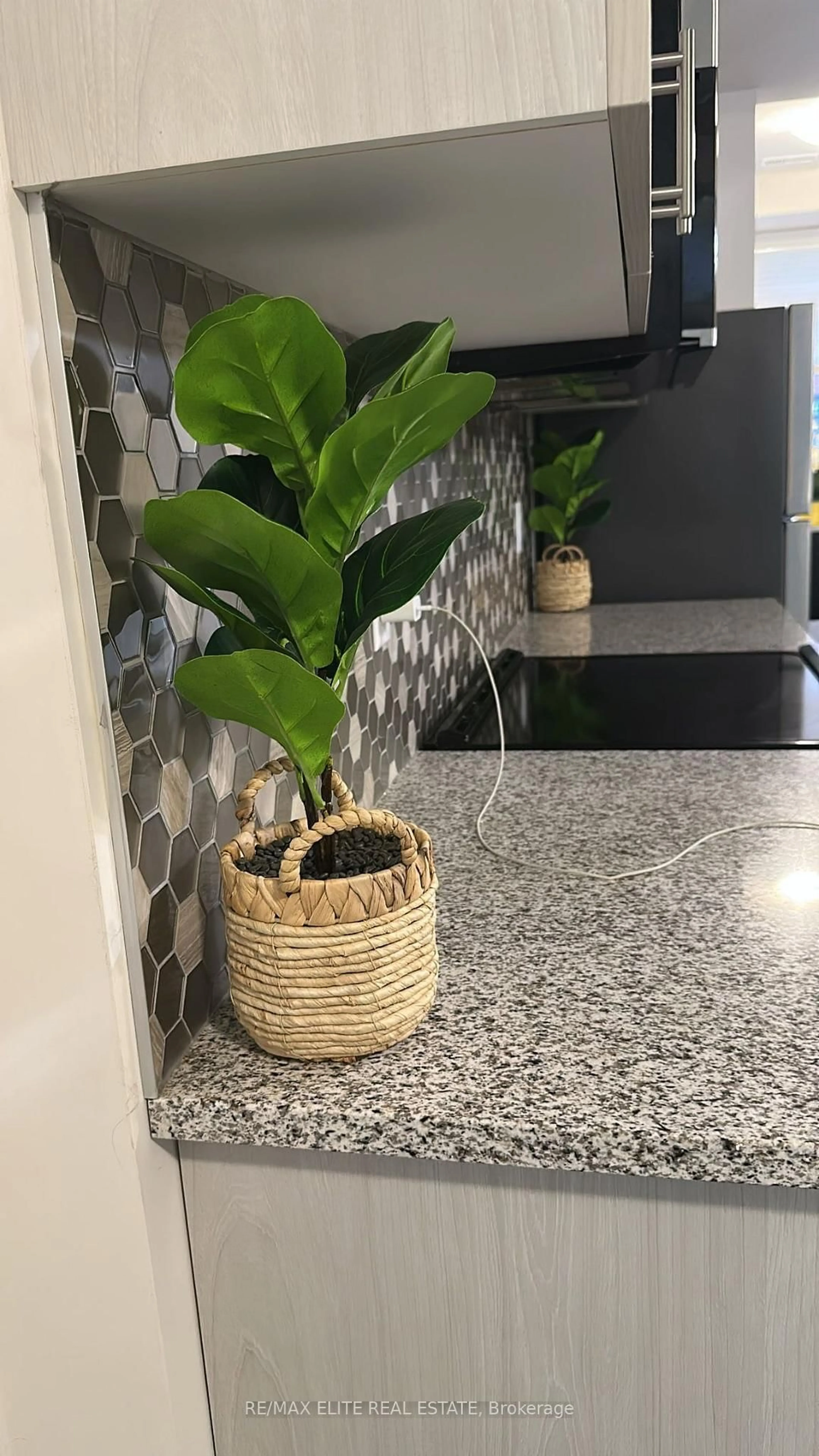 Indoor entryway for 2 Willow St #60, Brant Ontario N3L 0K7