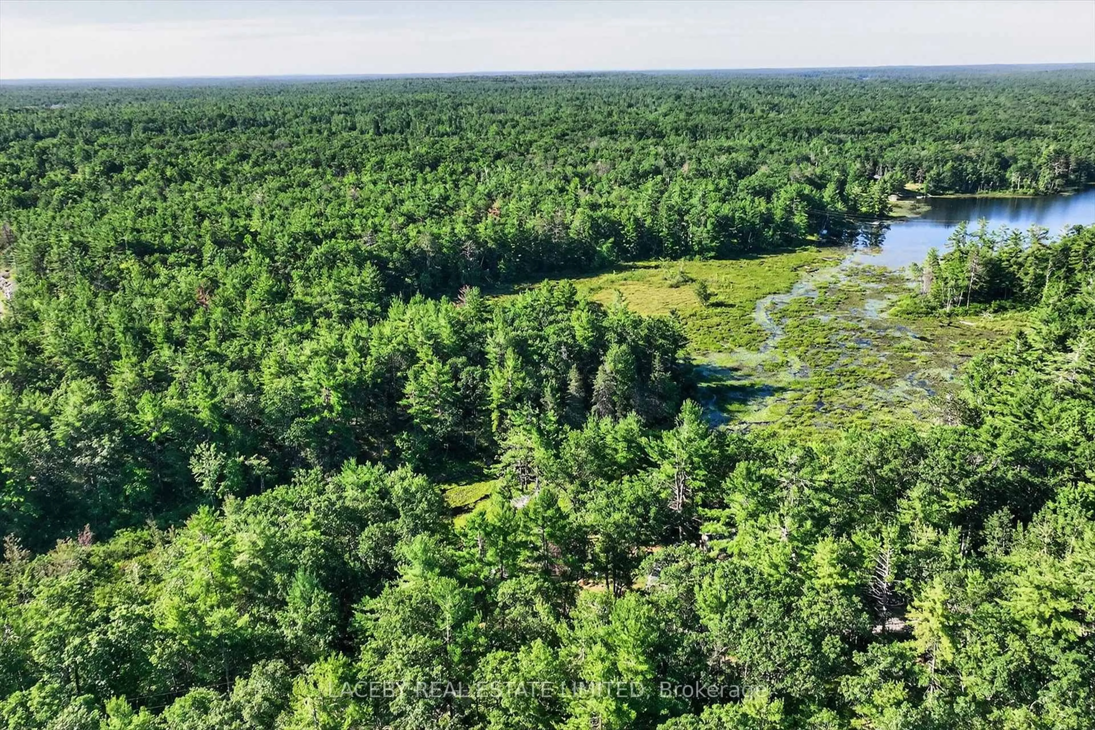 A pic from outside/outdoor area/front of a property/back of a property/a pic from drone, forest/trees view for 21 Fire Route 70, Havelock-Belmont-Methuen Ontario K0L 1Z0