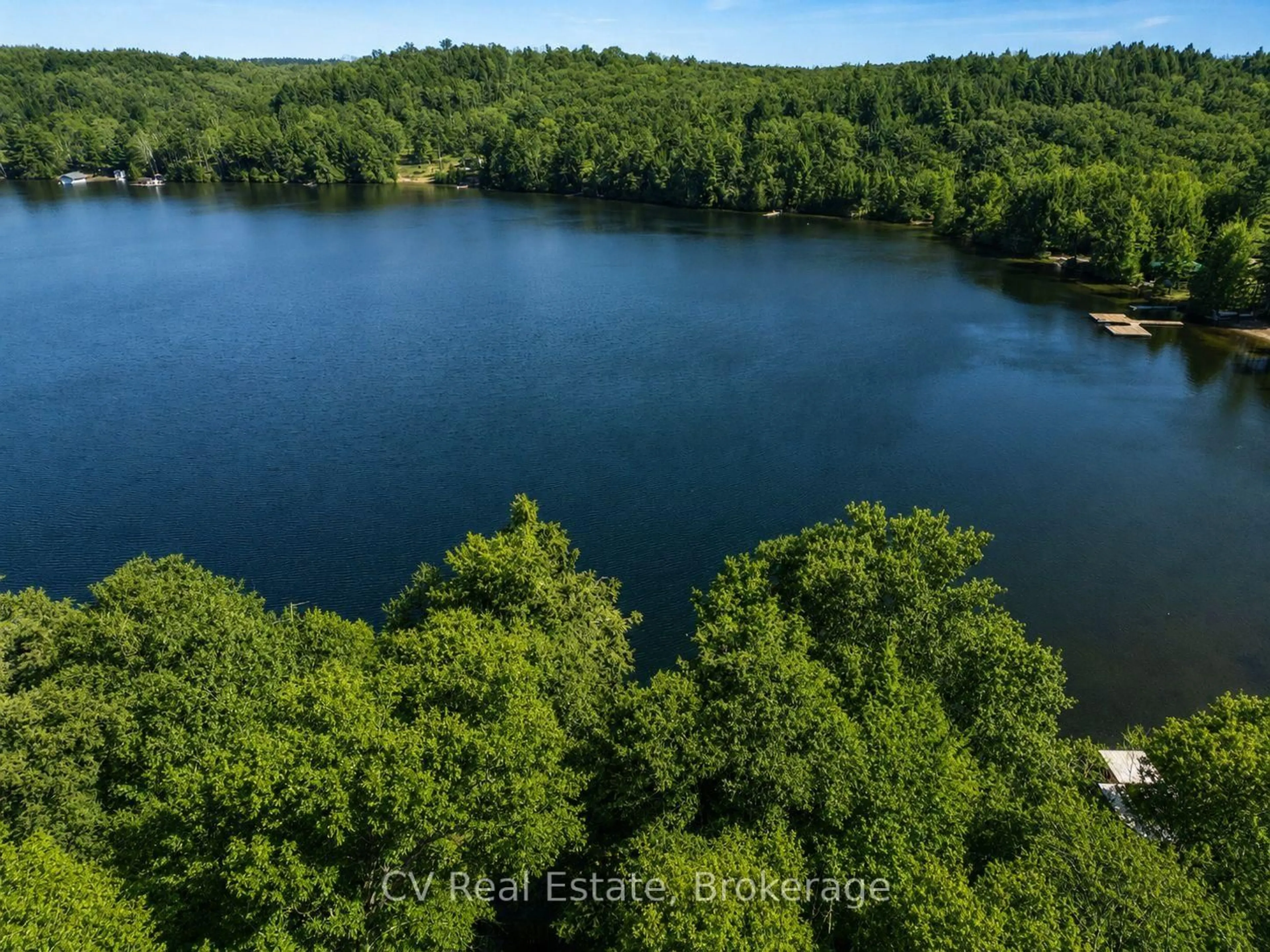 A pic from outside/outdoor area/front of a property/back of a property/a pic from drone, water/lake/river/ocean view for 1117 Bert Sims Rd #5, Muskoka Lakes Ontario P0B 1M0