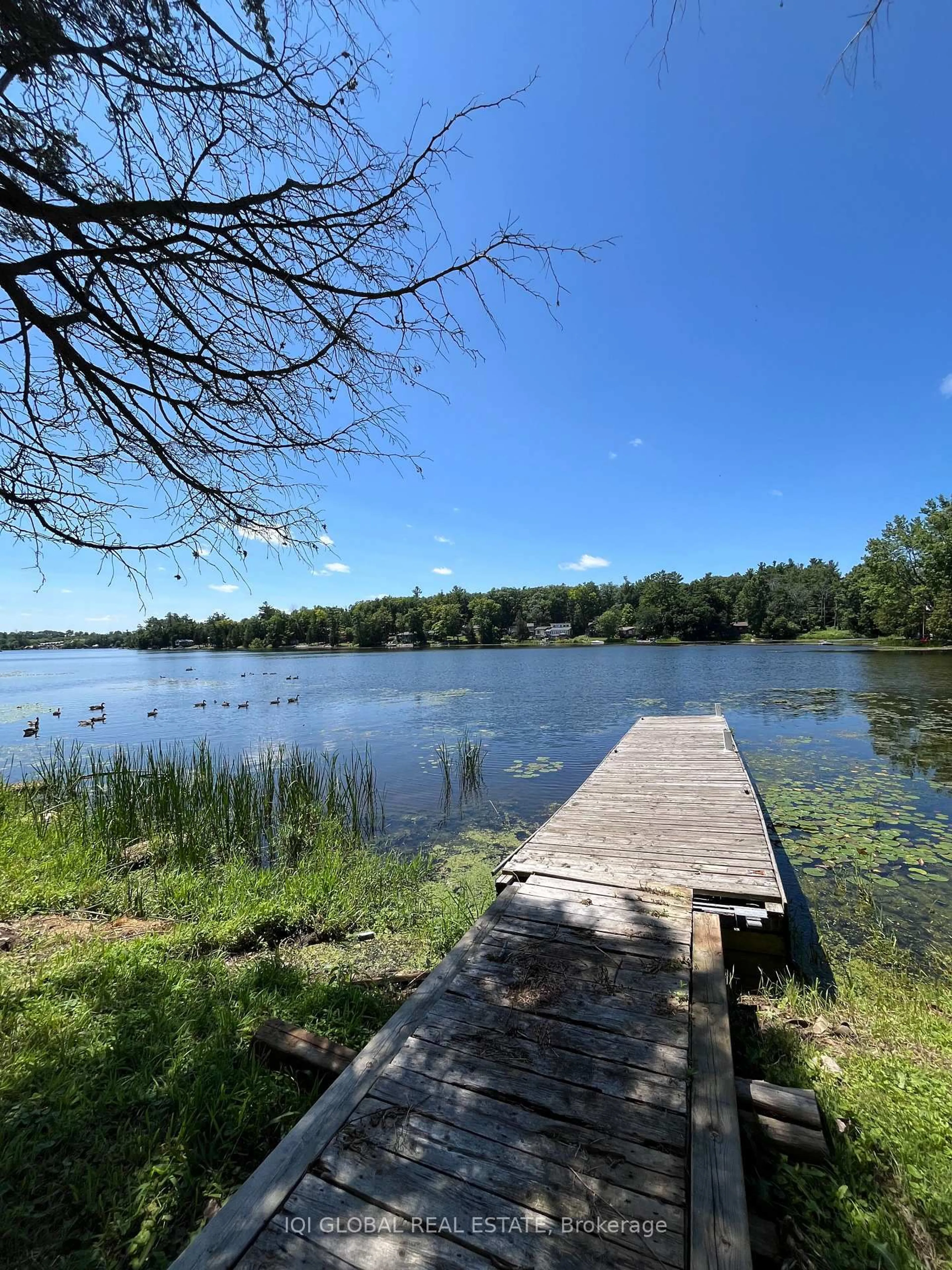 Unknown for 24 Pines Lane, Stirling Ontario K0K 3E0