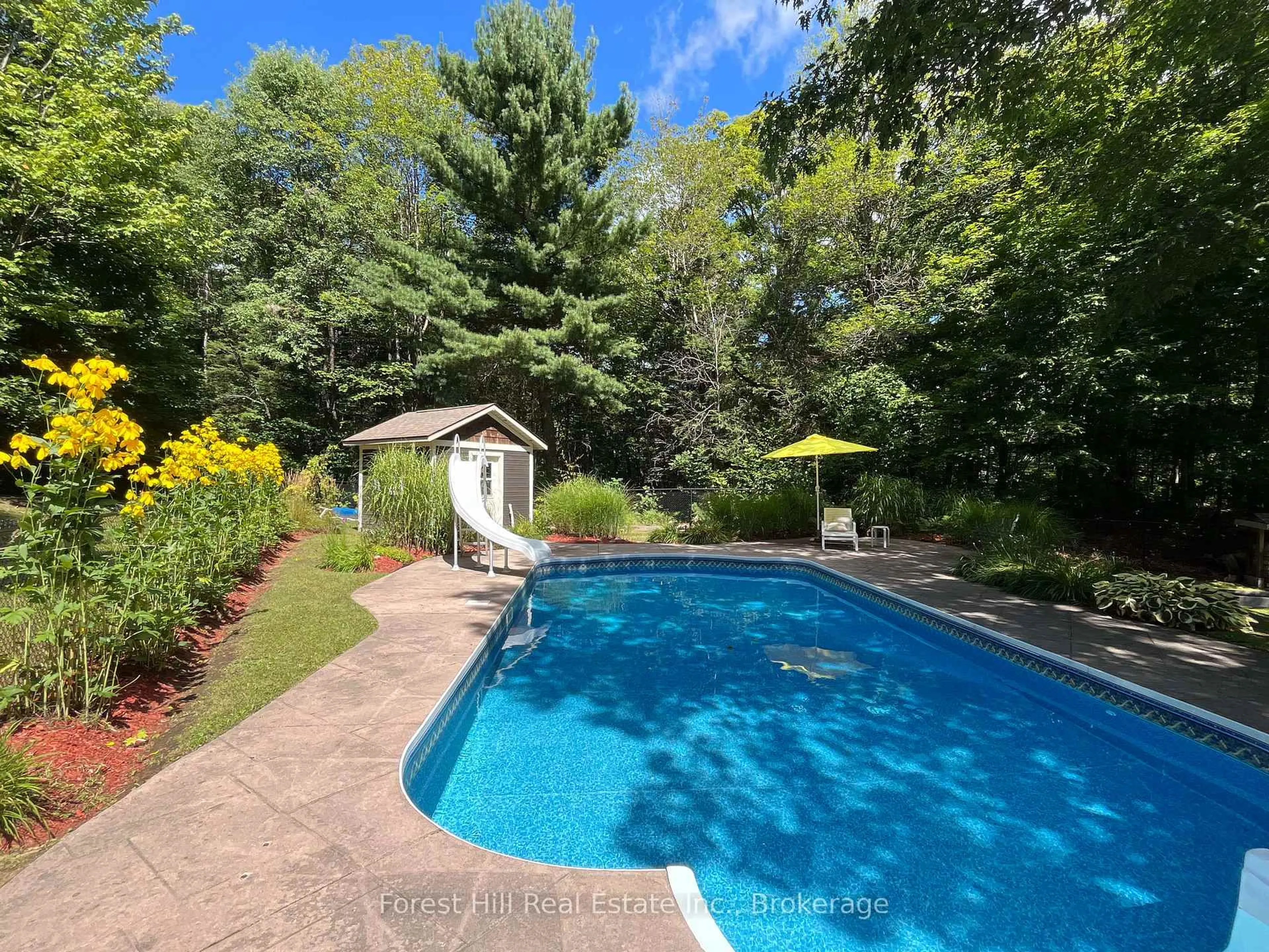 Pool for 1474 Etwell Rd, Huntsville Ontario P1H 2J2