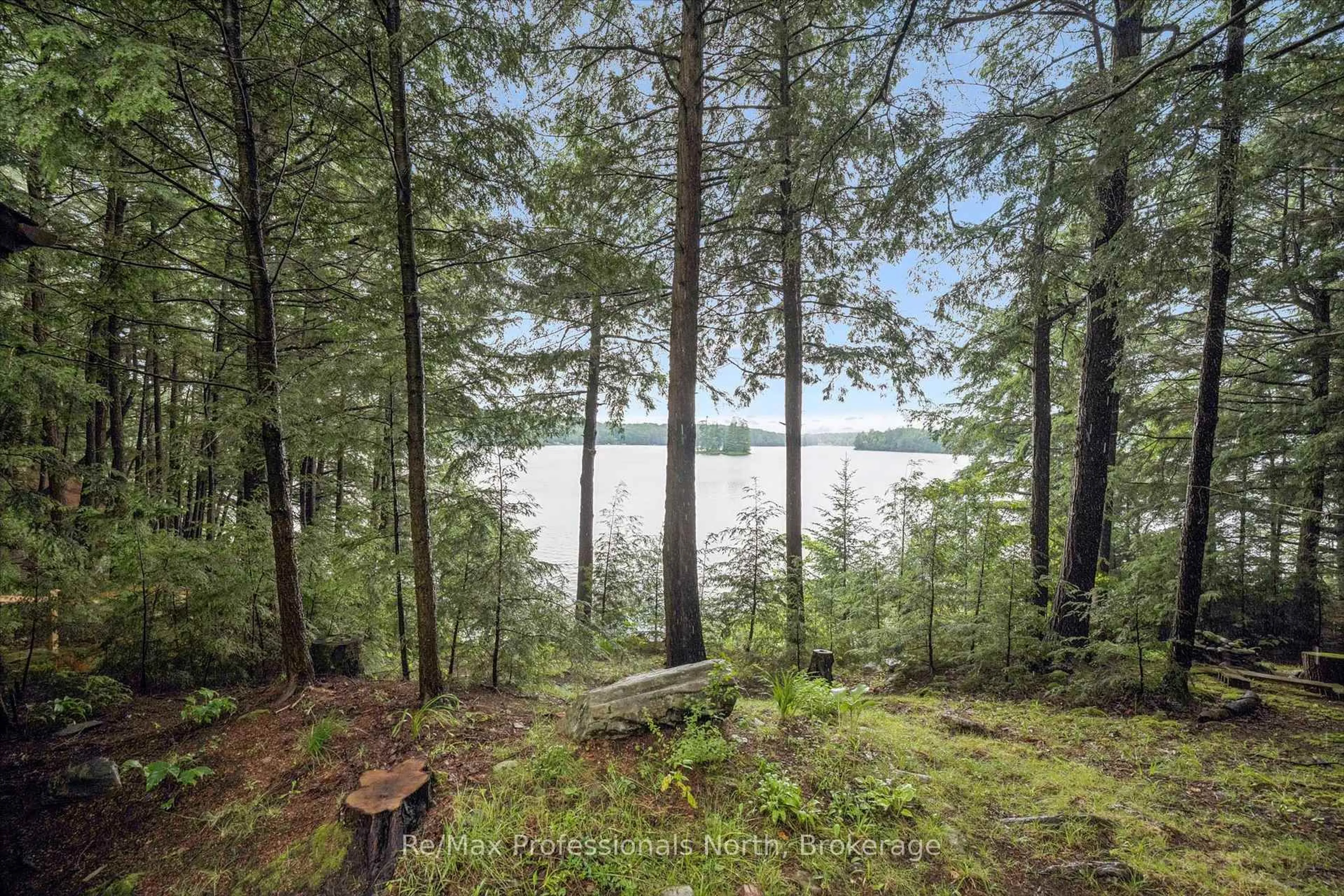 Patio, forest/trees view for 1271 Staunton Rd, Bracebridge Ontario P1L 1X3