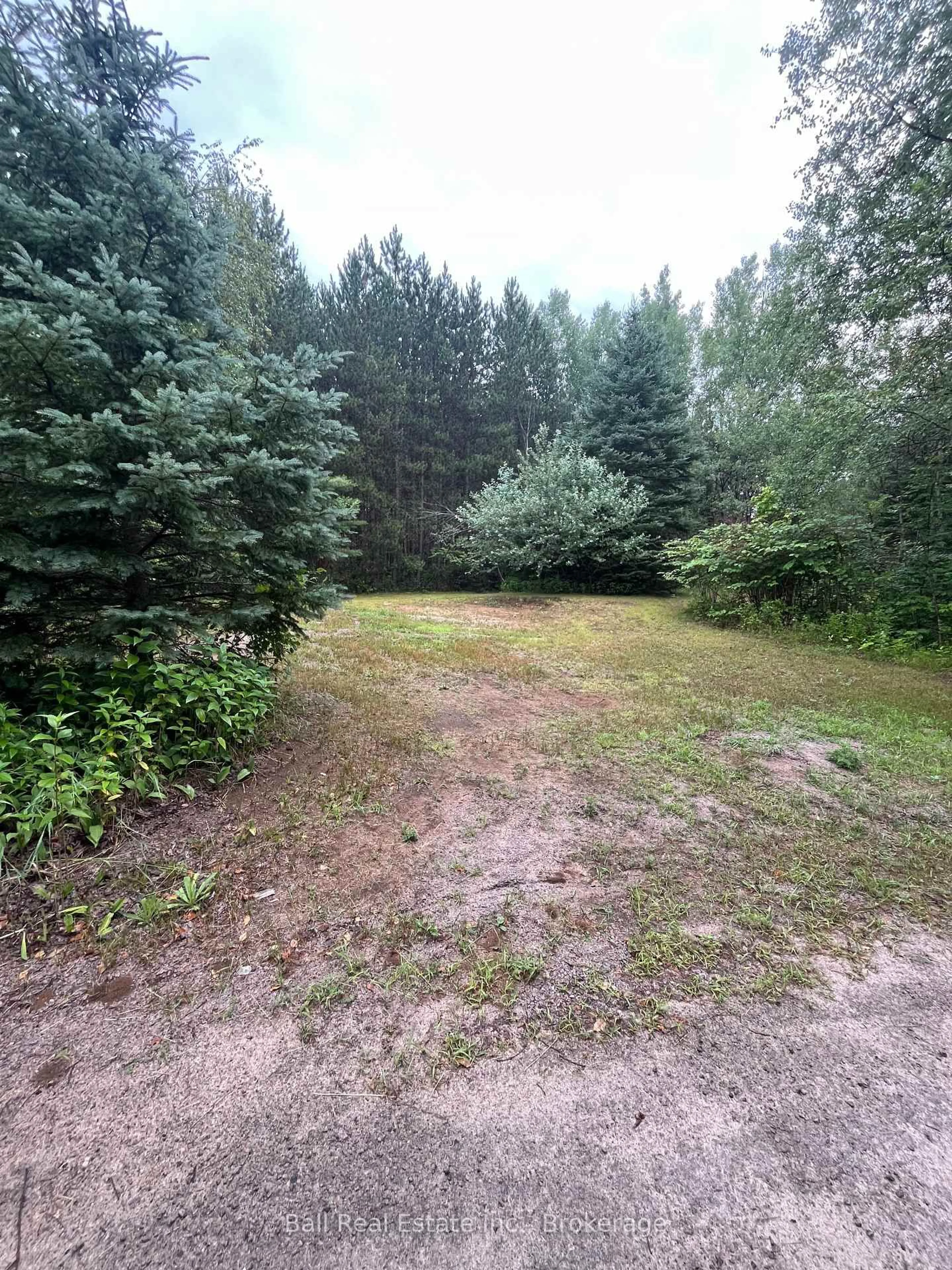 A pic from outside/outdoor area/front of a property/back of a property/a pic from drone, forest/trees view for 540 Rose Island Rd, Coe Hill Ontario K0L 1P0