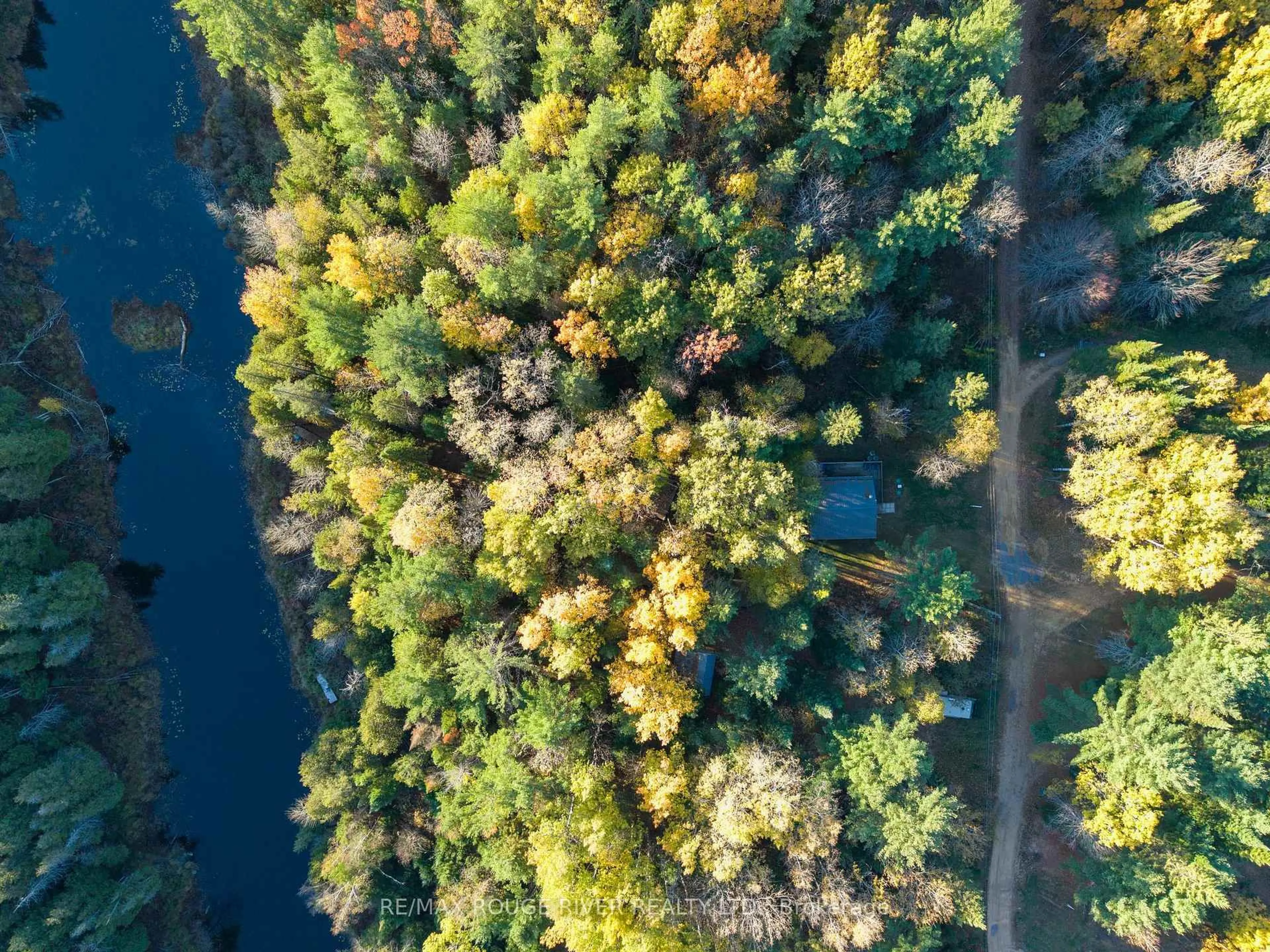 A pic from outside/outdoor area/front of a property/back of a property/a pic from drone, forest/trees view for 23 Egan Lane, Bancroft Ontario K0L 2L0