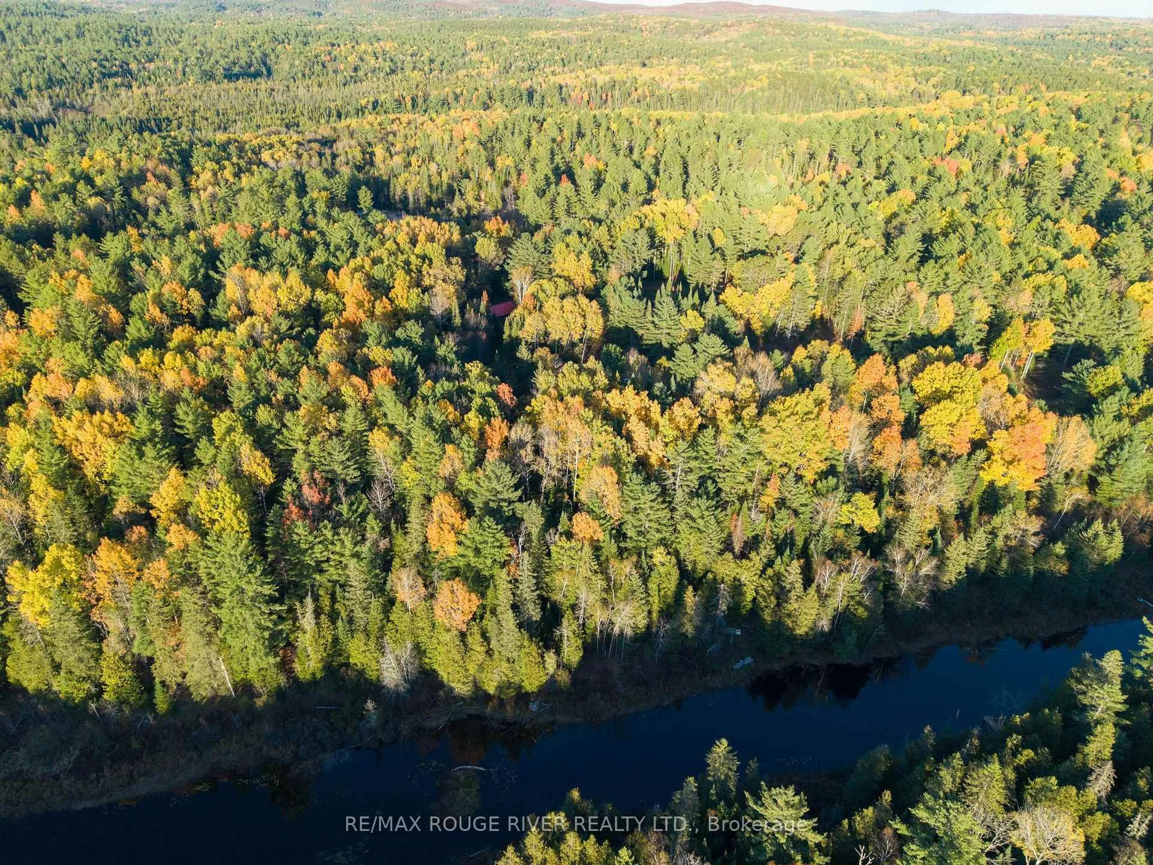 A pic from outside/outdoor area/front of a property/back of a property/a pic from drone, forest/trees view for 23 Egan Lane, Bancroft Ontario K0L 2L0