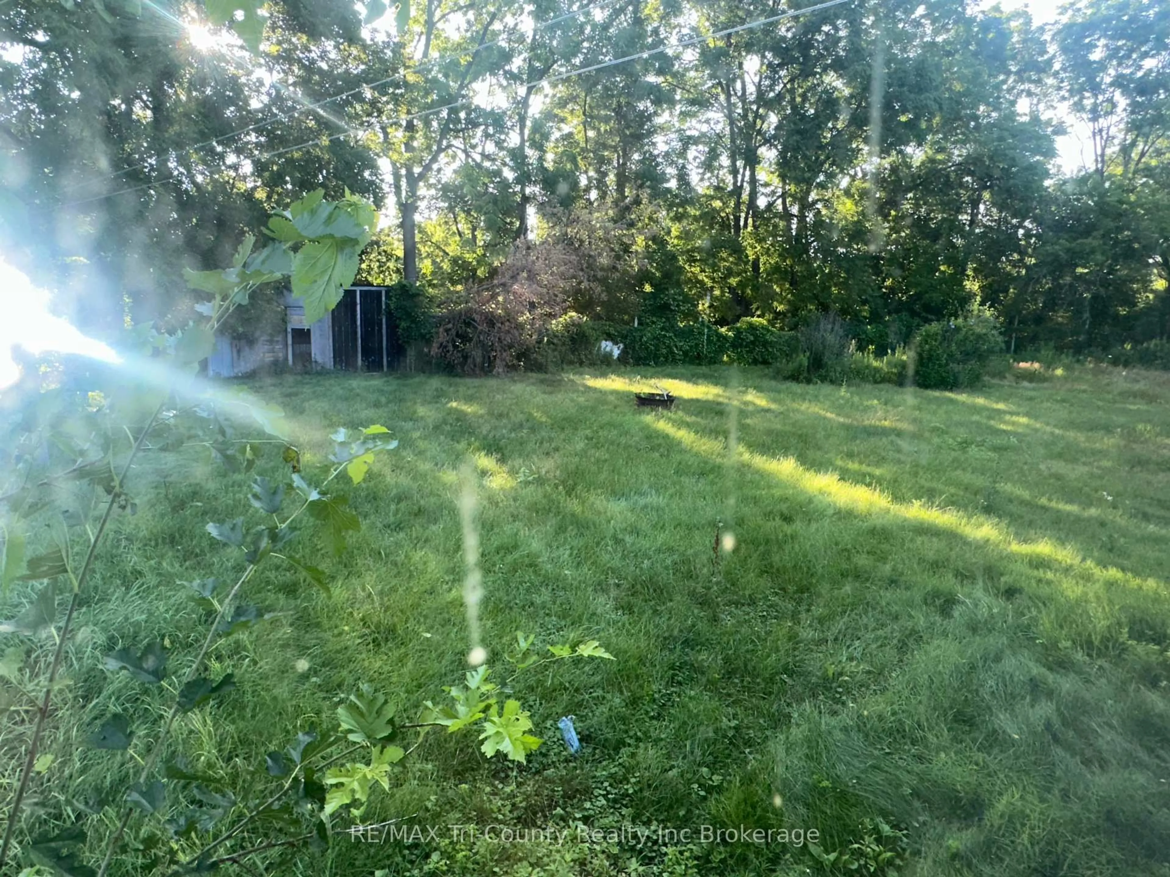 A pic from outside/outdoor area/front of a property/back of a property/a pic from drone, forest/trees view for 6 Pearl St, St. Thomas Ontario N5P 2N8