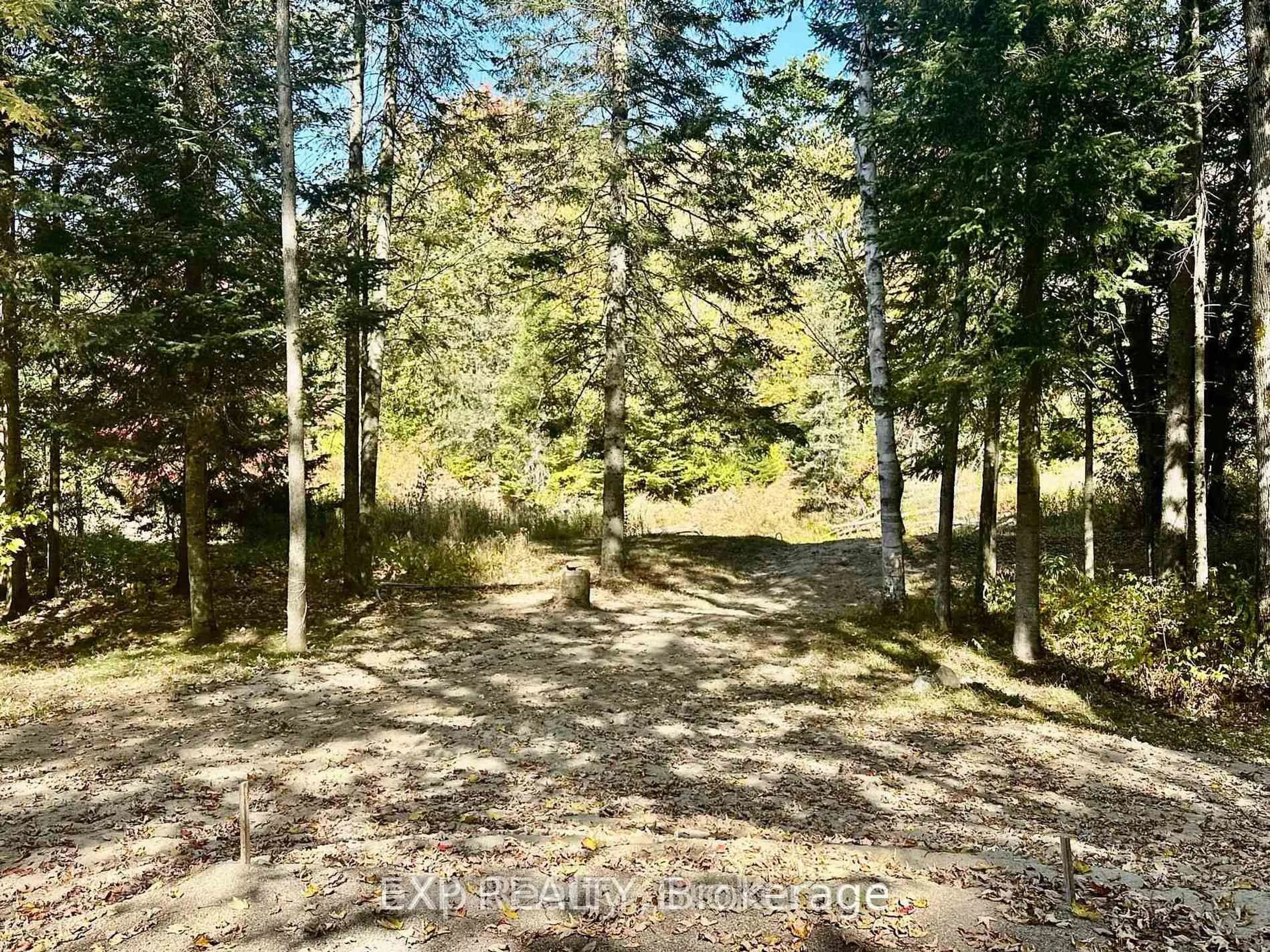 A pic from outside/outdoor area/front of a property/back of a property/a pic from drone, forest/trees view for 61 Robert Rd, Huntsville Ontario P1H 1L4