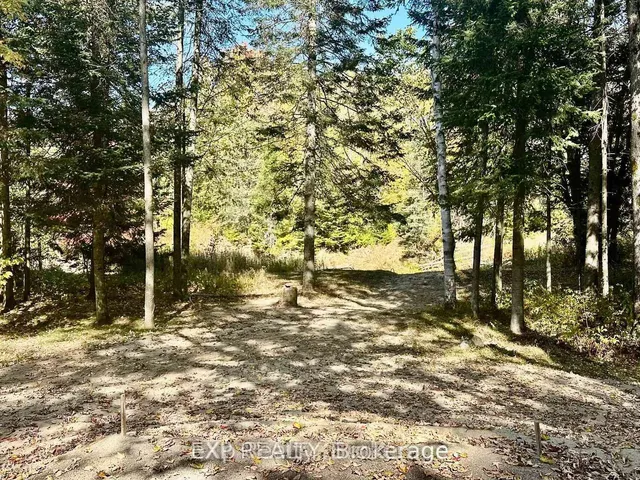 61 Robert Rd, Huntsville 4