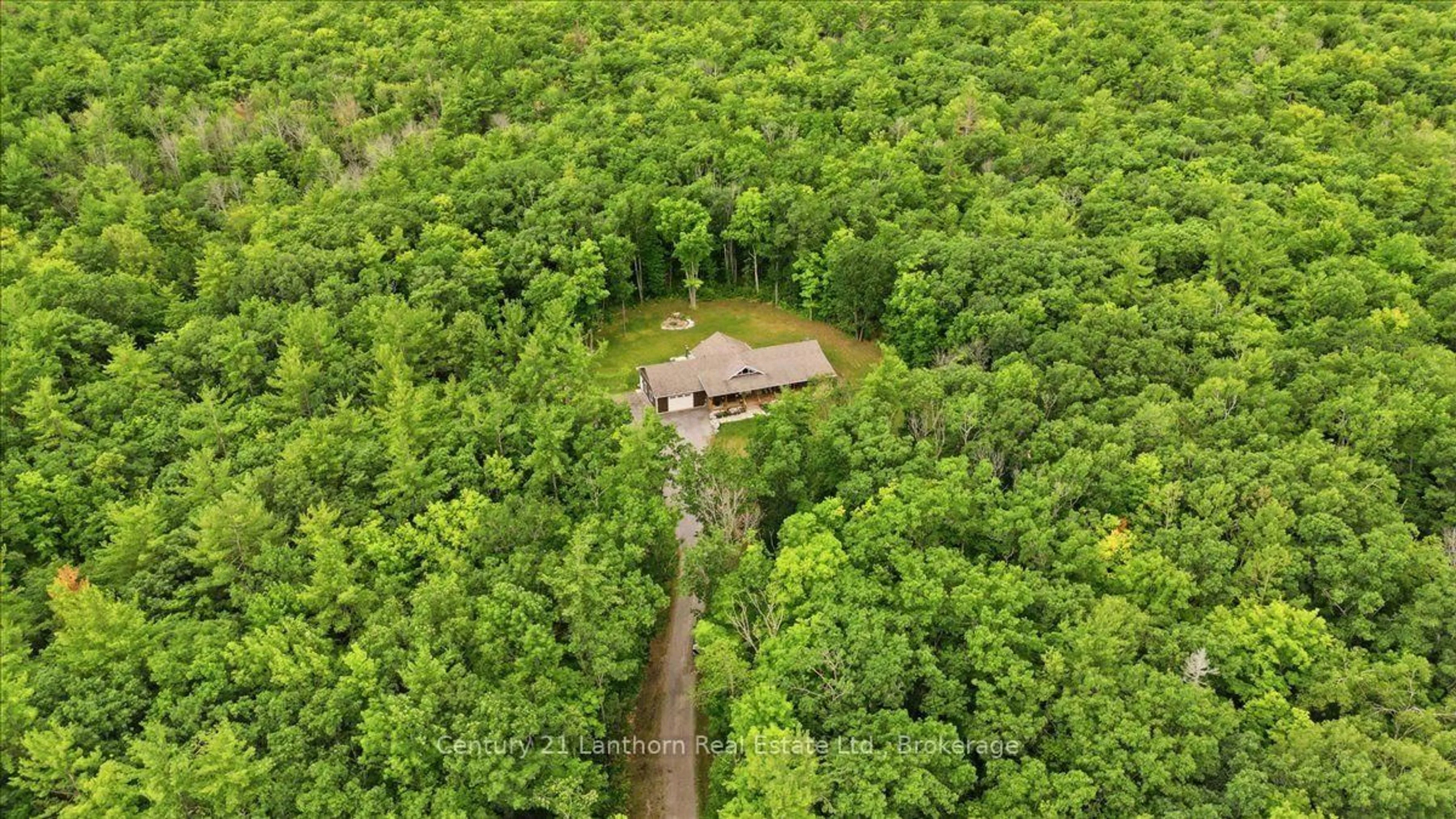 A pic from outside/outdoor area/front of a property/back of a property/a pic from drone, forest/trees view for 81 Reynolds Rd, Madoc Ontario K0K 2K0