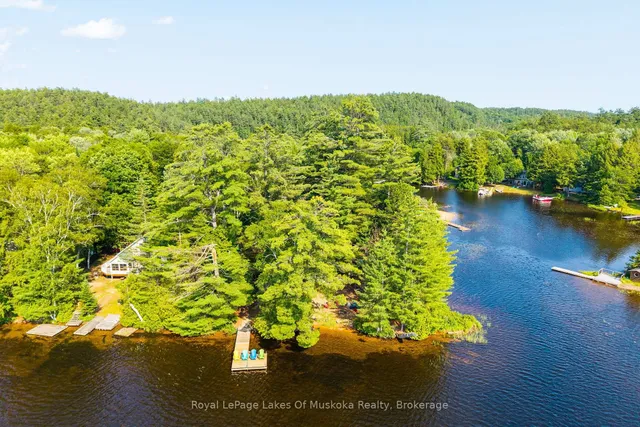 1015 Goodlife Lane, Algonquin Highlands 3