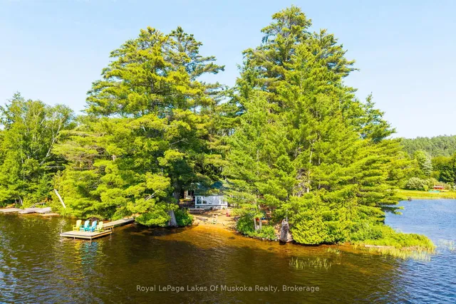 1015 Goodlife Lane, Algonquin Highlands 5