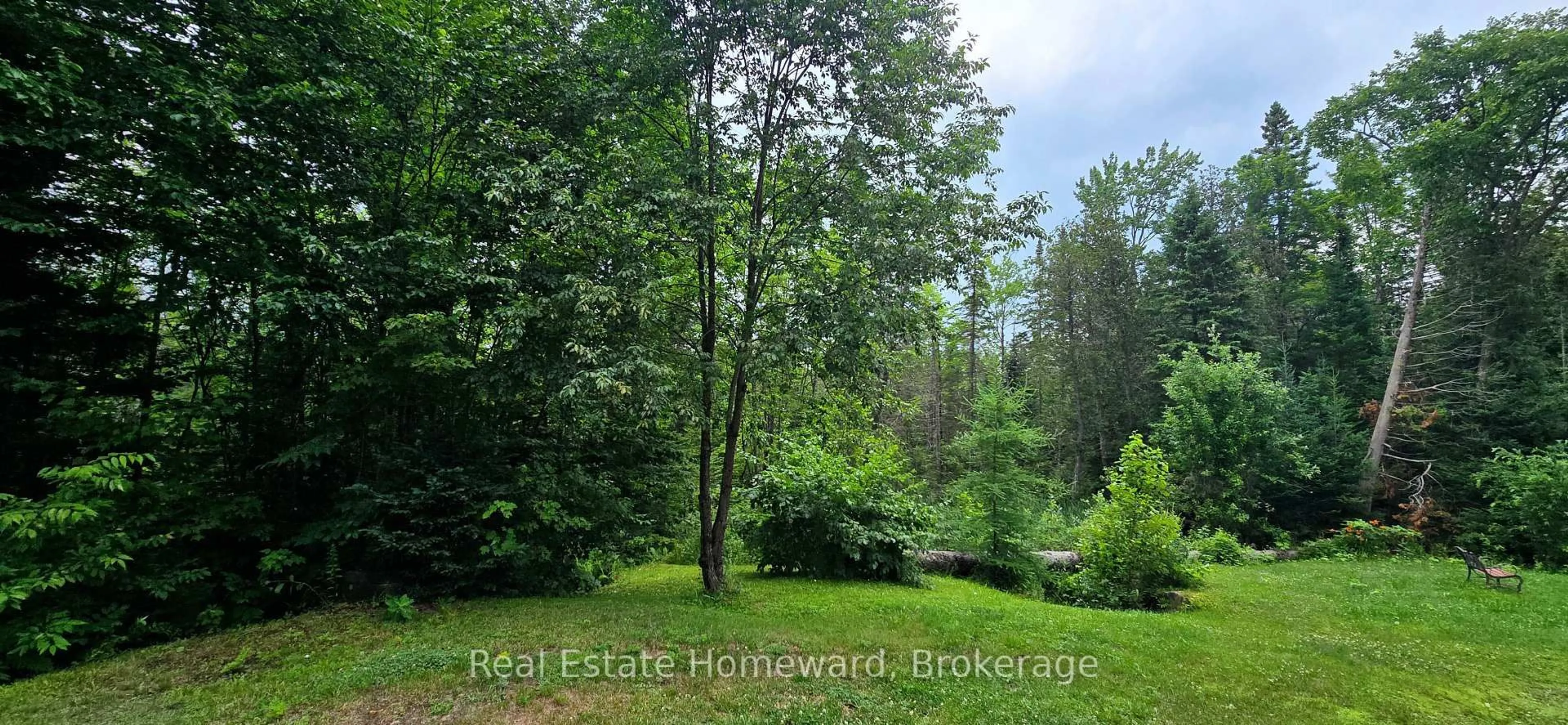 A pic from outside/outdoor area/front of a property/back of a property/a pic from drone, forest/trees view for 2896 Brunel Rd, Huntsville Ontario P1H 2J3