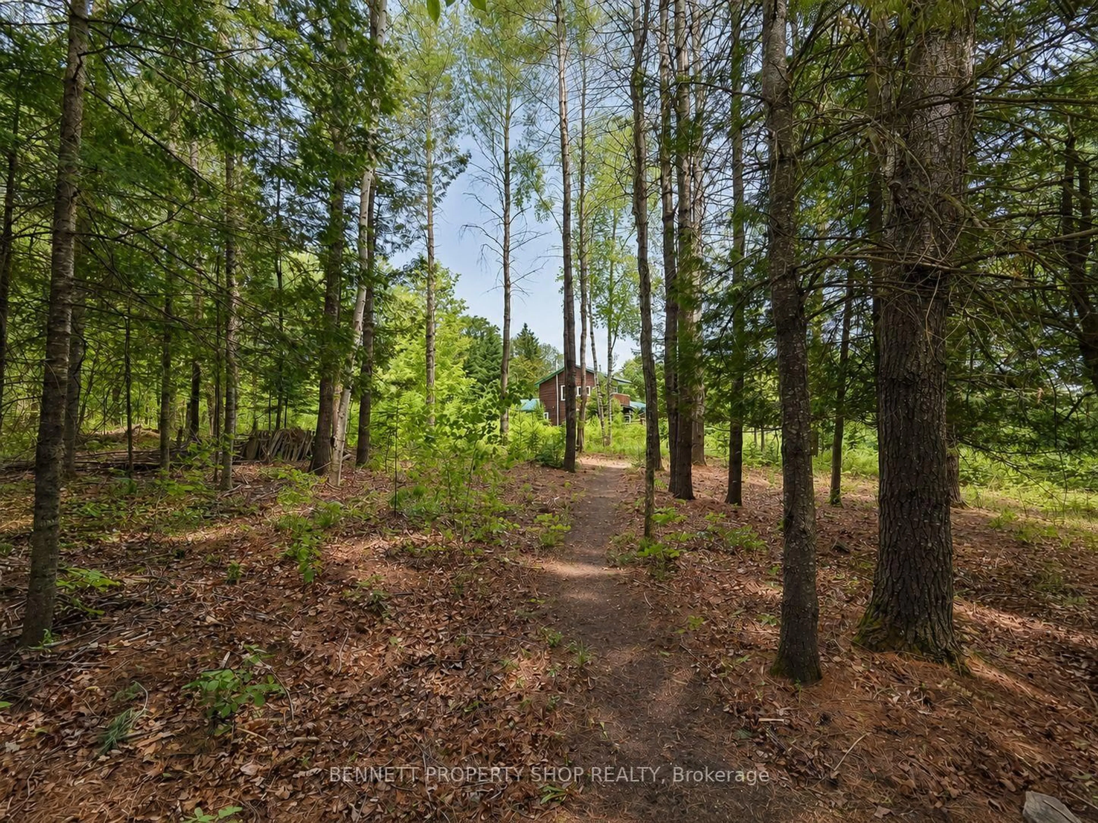 A pic from outside/outdoor area/front of a property/back of a property/a pic from drone, forest/trees view for 515 Graphite Bay Rd, Calabogie Ontario K0J 1H0