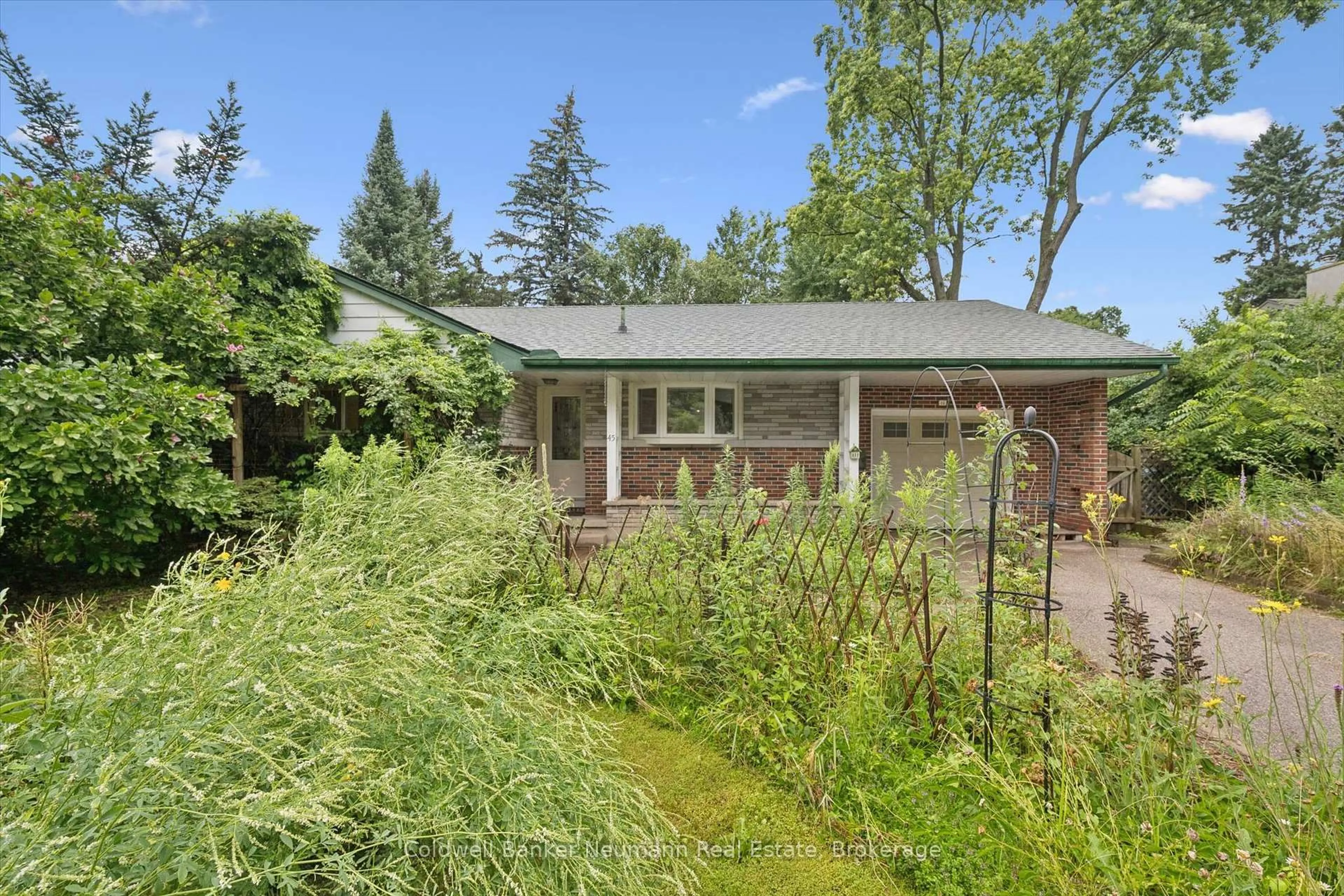 Patio, street for 45 Dean Ave, Guelph Ontario N1G 1K6