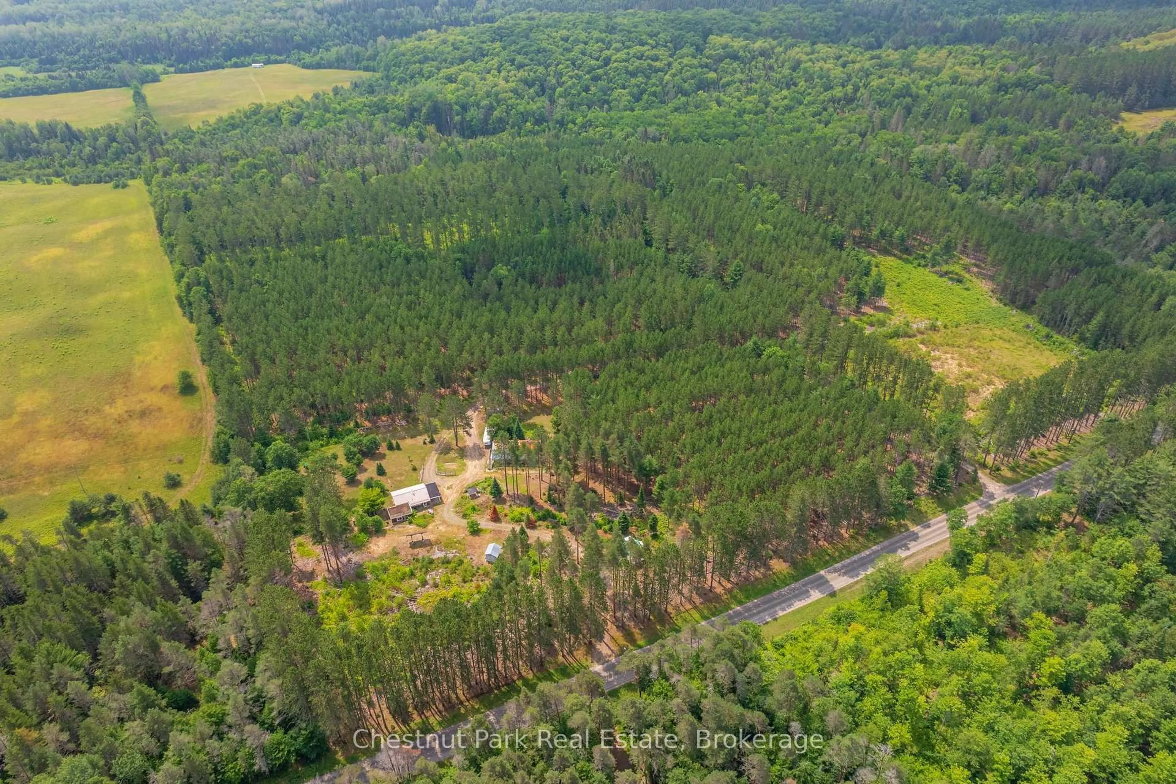 A pic from outside/outdoor area/front of a property/back of a property/a pic from drone, forest/trees view for 165 James Camp Rd, Ryerson Ontario P0A 1C0